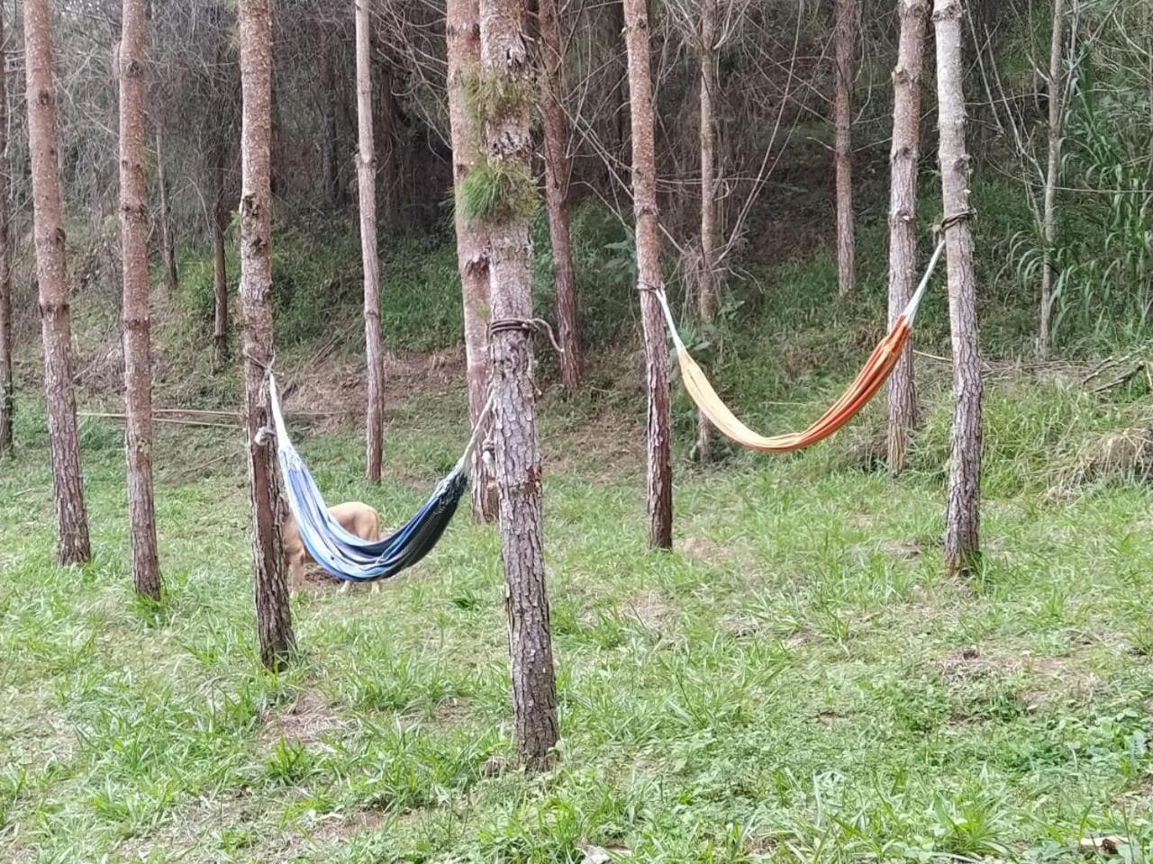 Cabaña Luna Verde