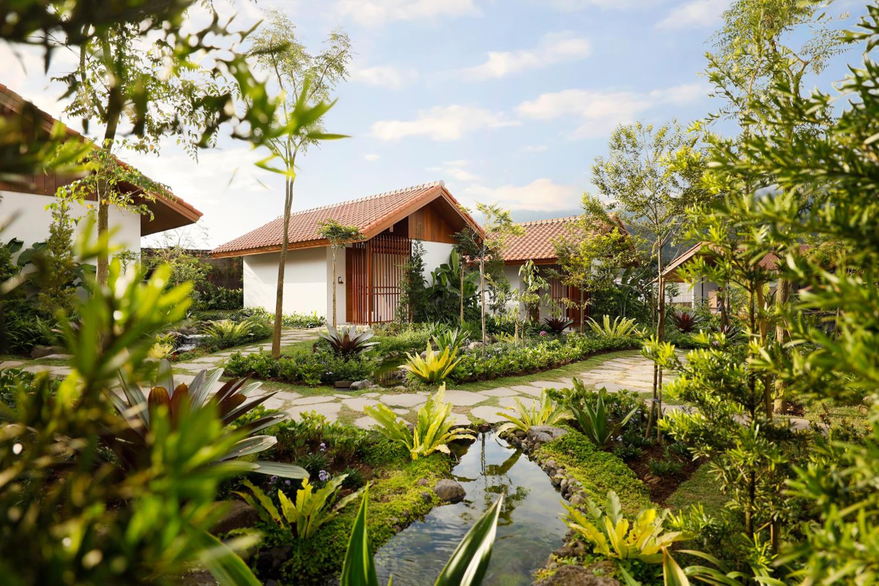 Dusun Bedugul Asri