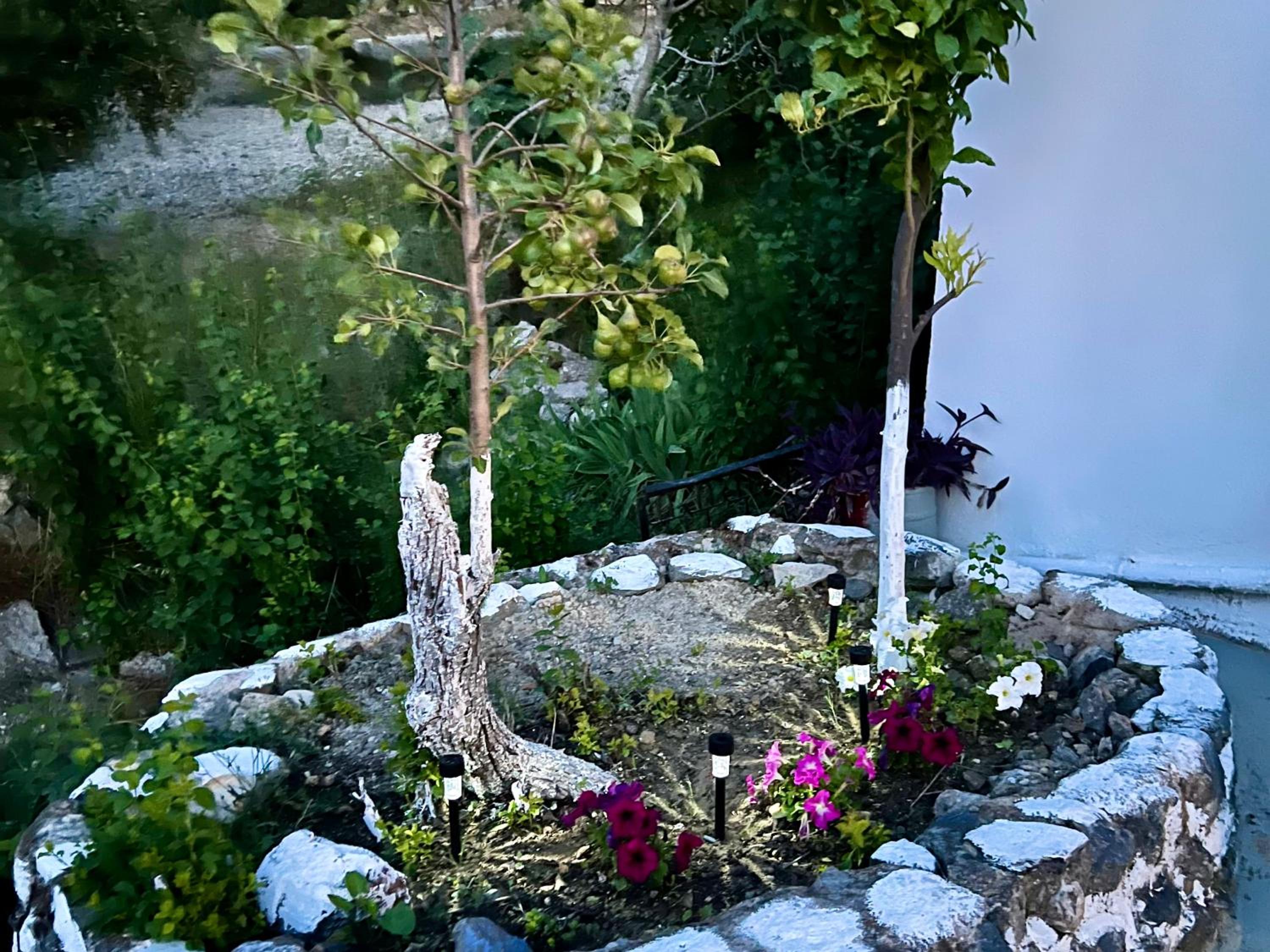 Greek House Tatiana photo 2