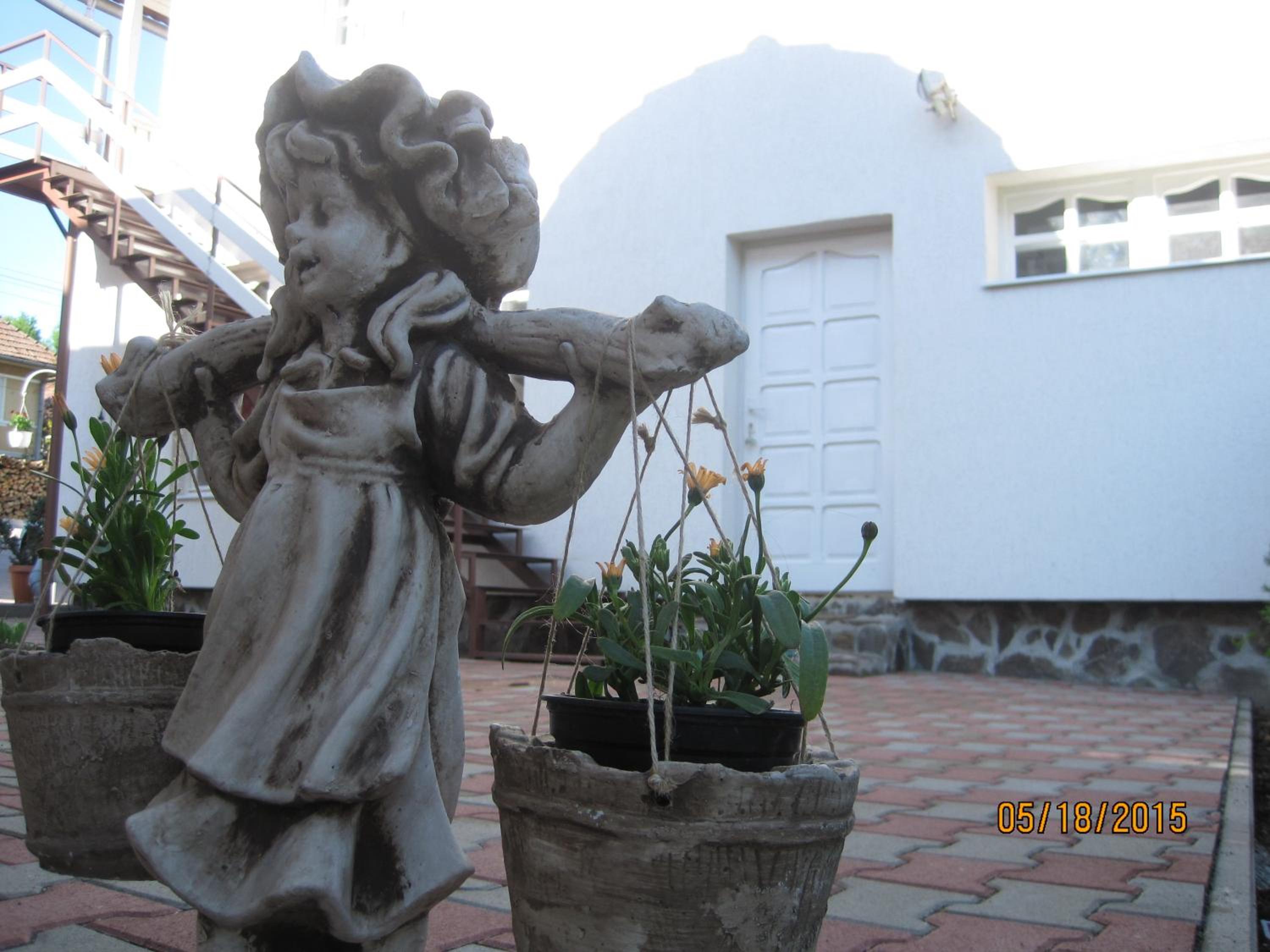 Photo 45