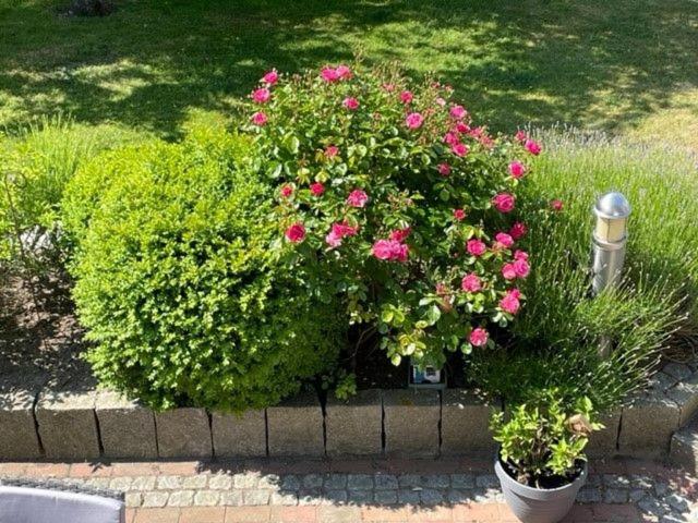 Haus Antje view 2