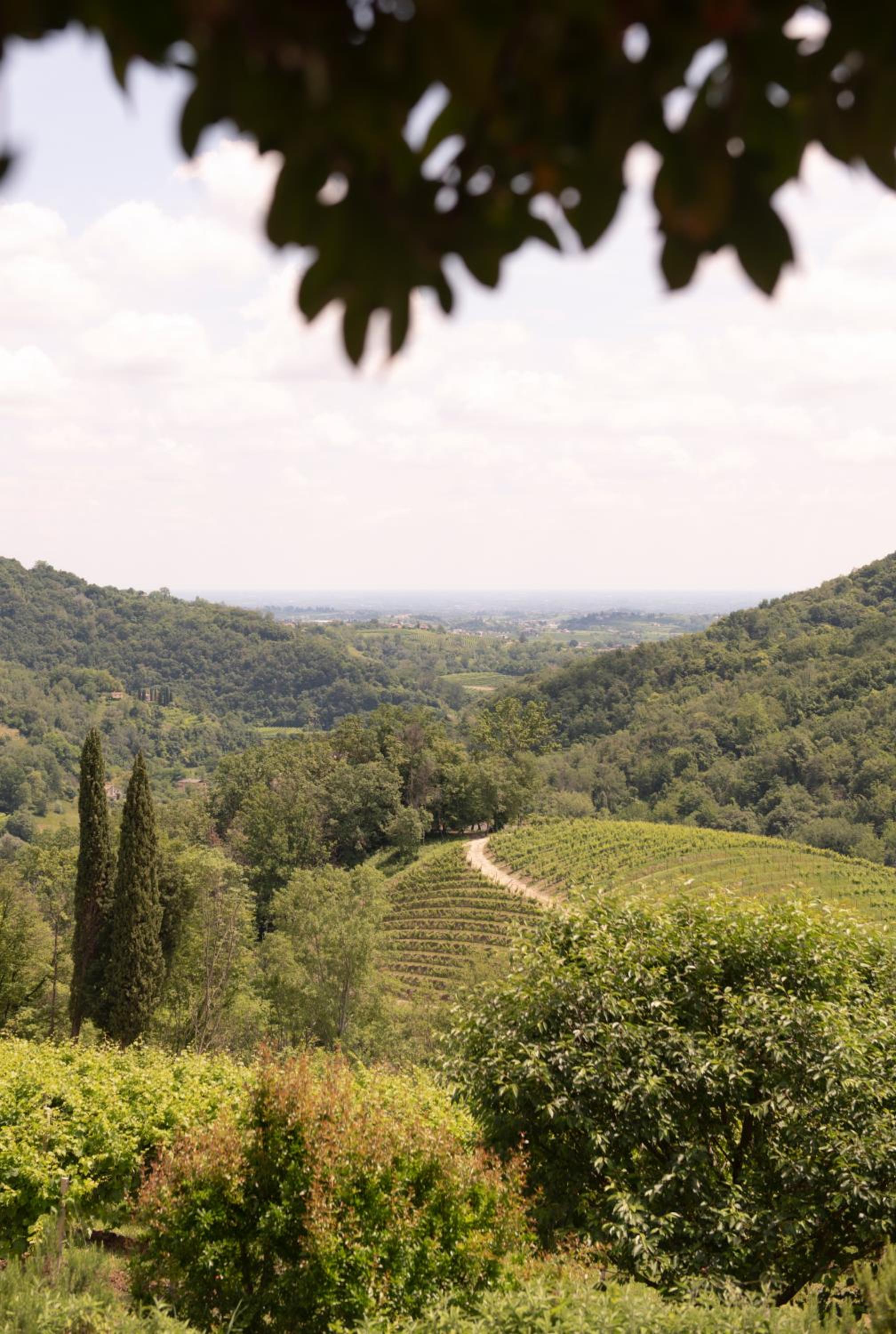 Ville d'Arfanta view 3