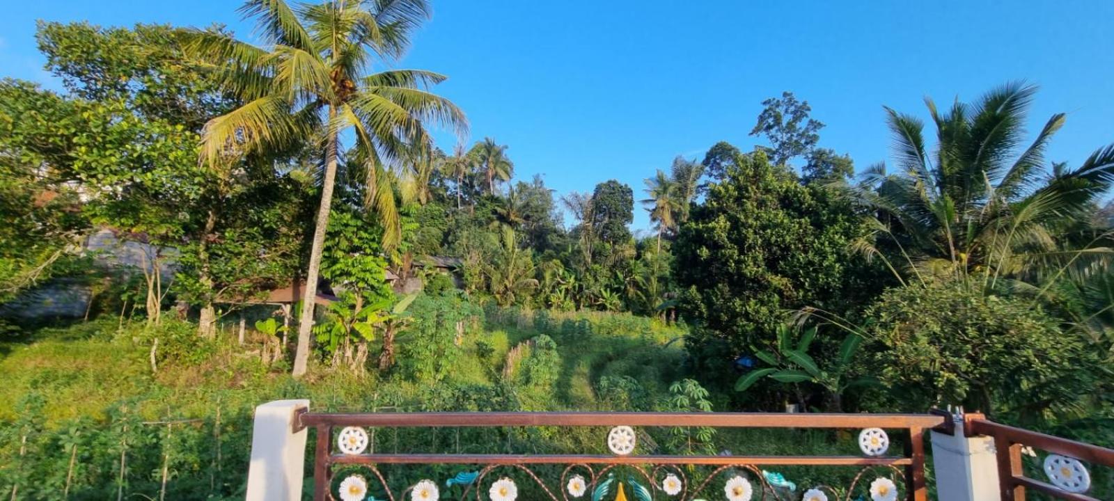 Sri Sedana Homestay