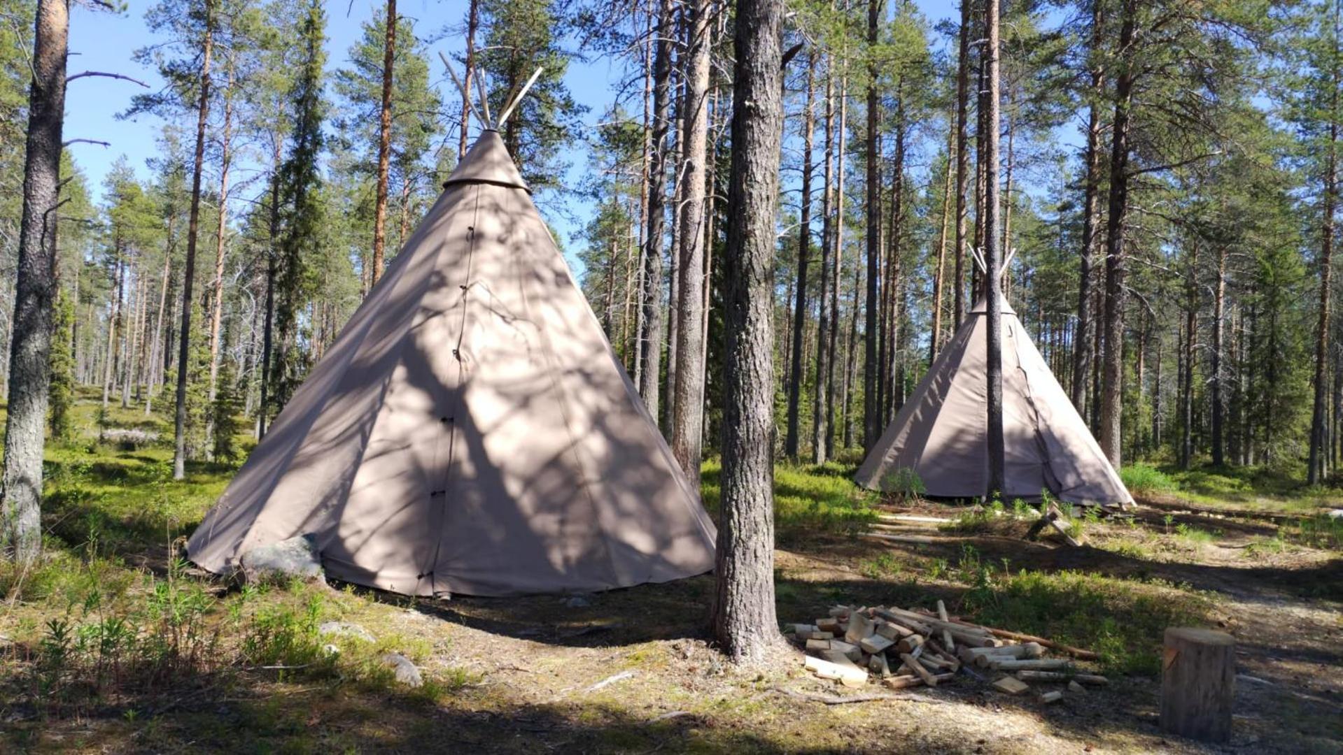 Arctic Circle Apartment and cabins view 3
