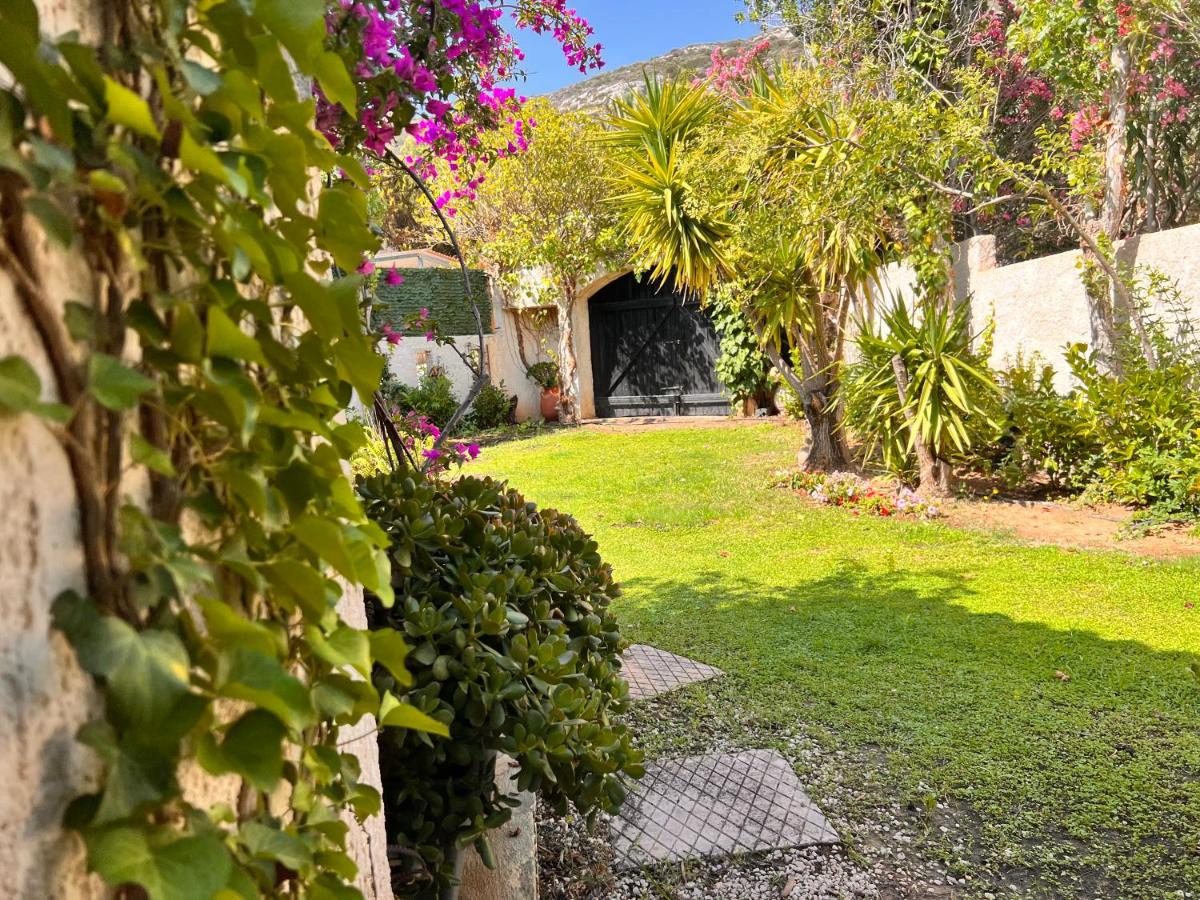 Villa Xenia & Akis