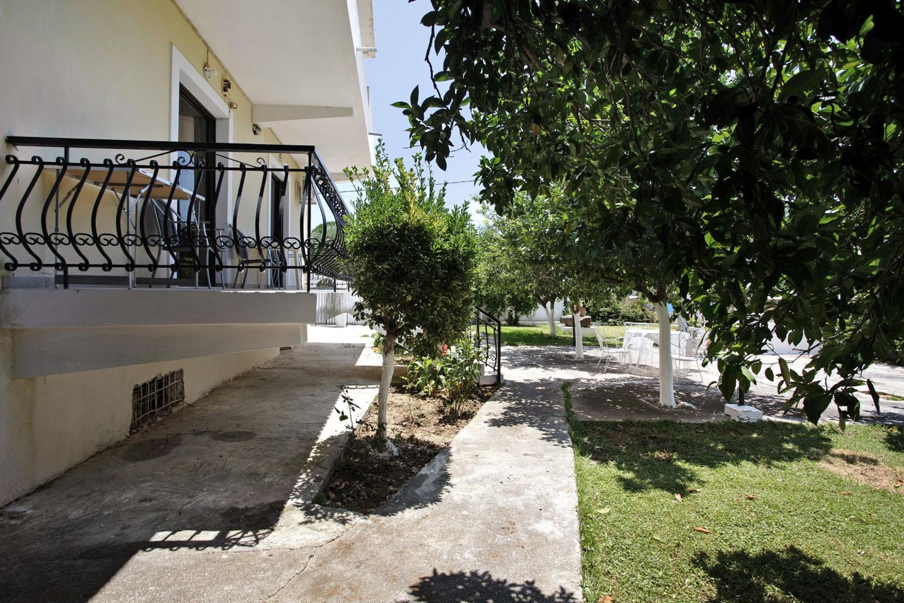 Photo 23