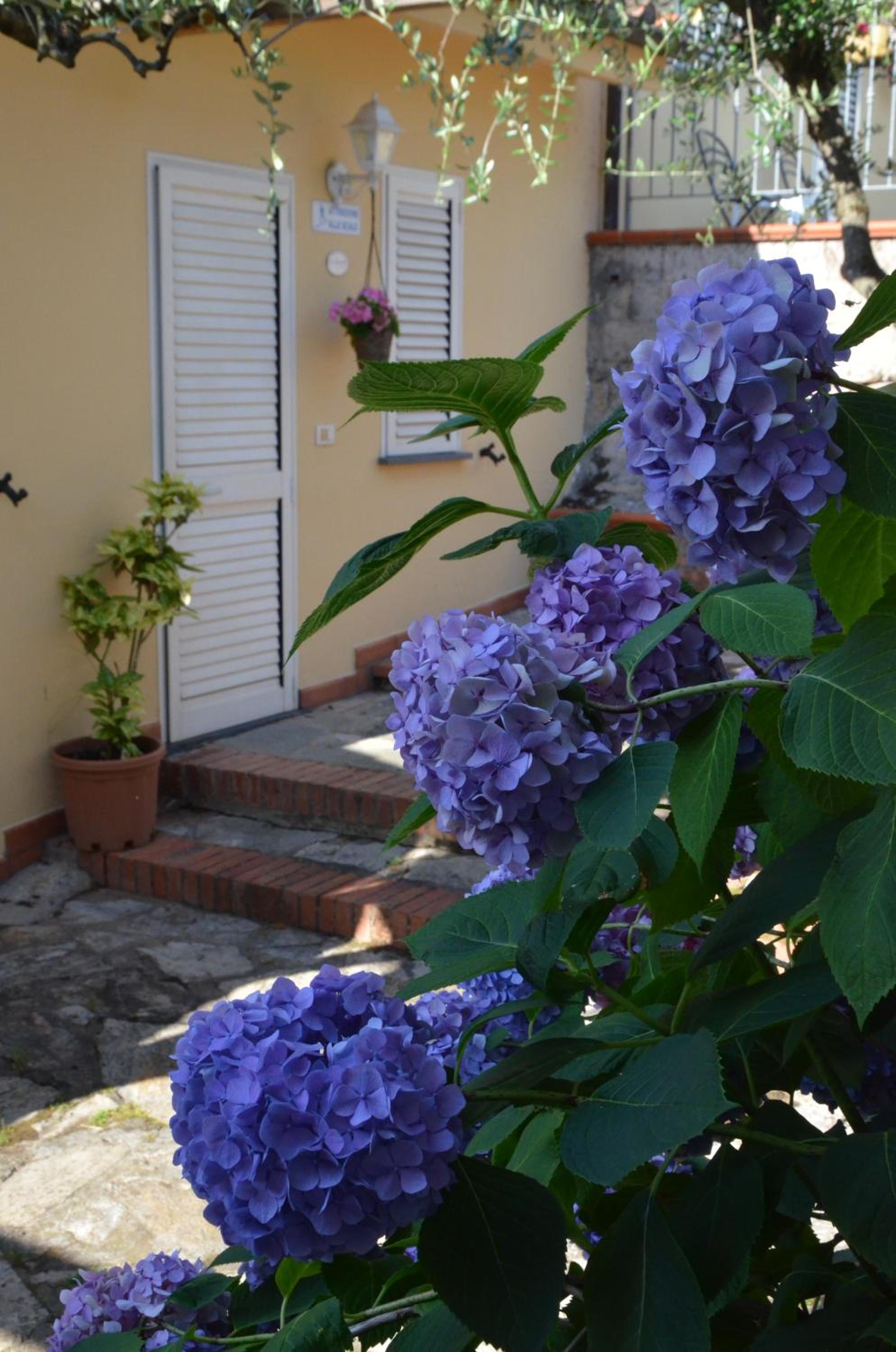 Photo 29
