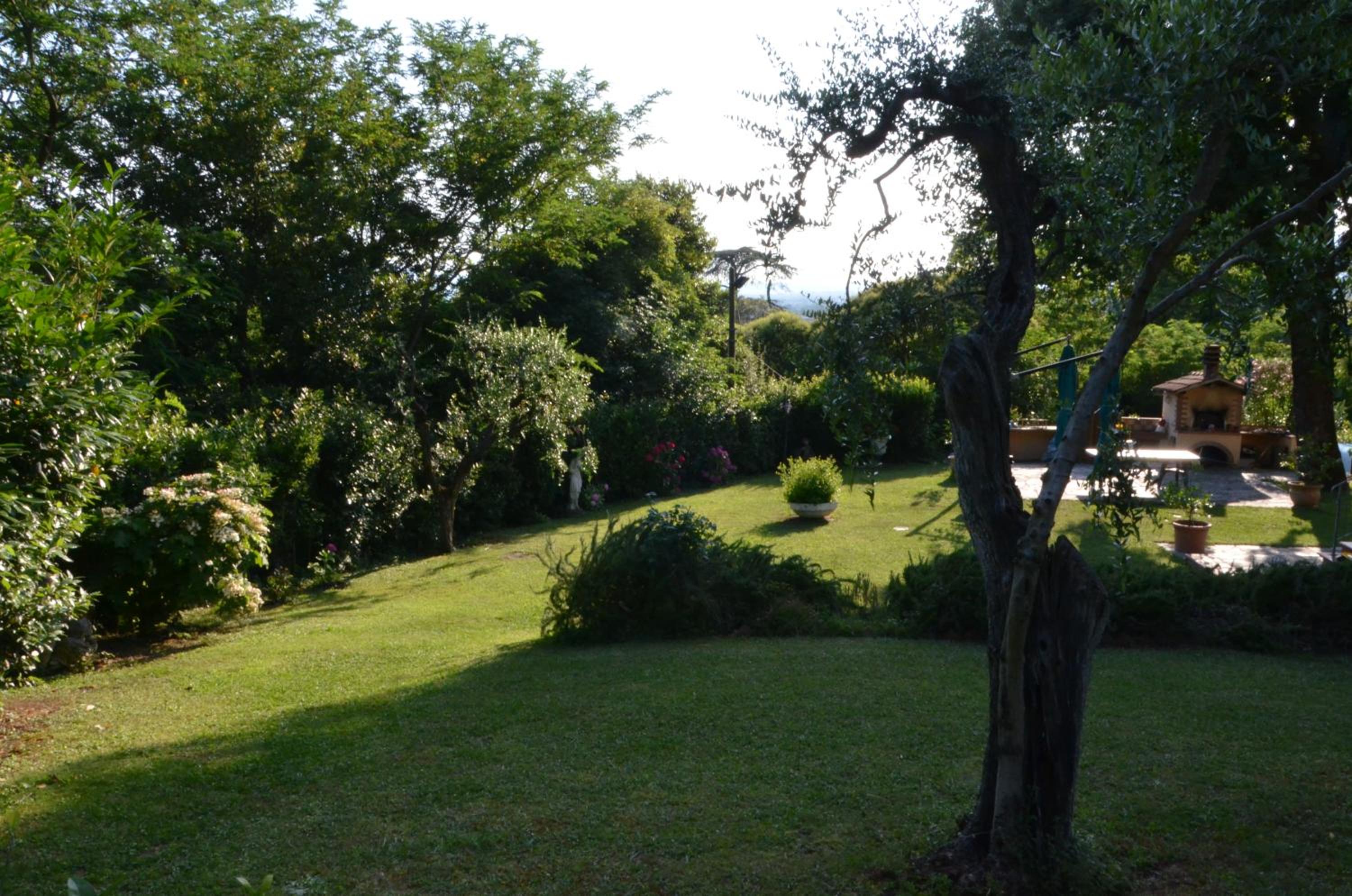 Photo 31