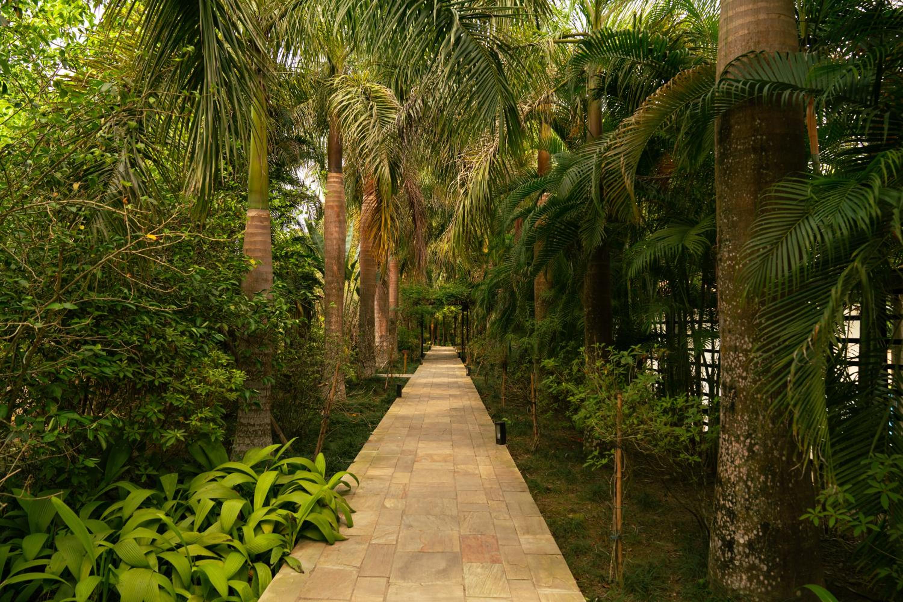 Kasara Chitwan