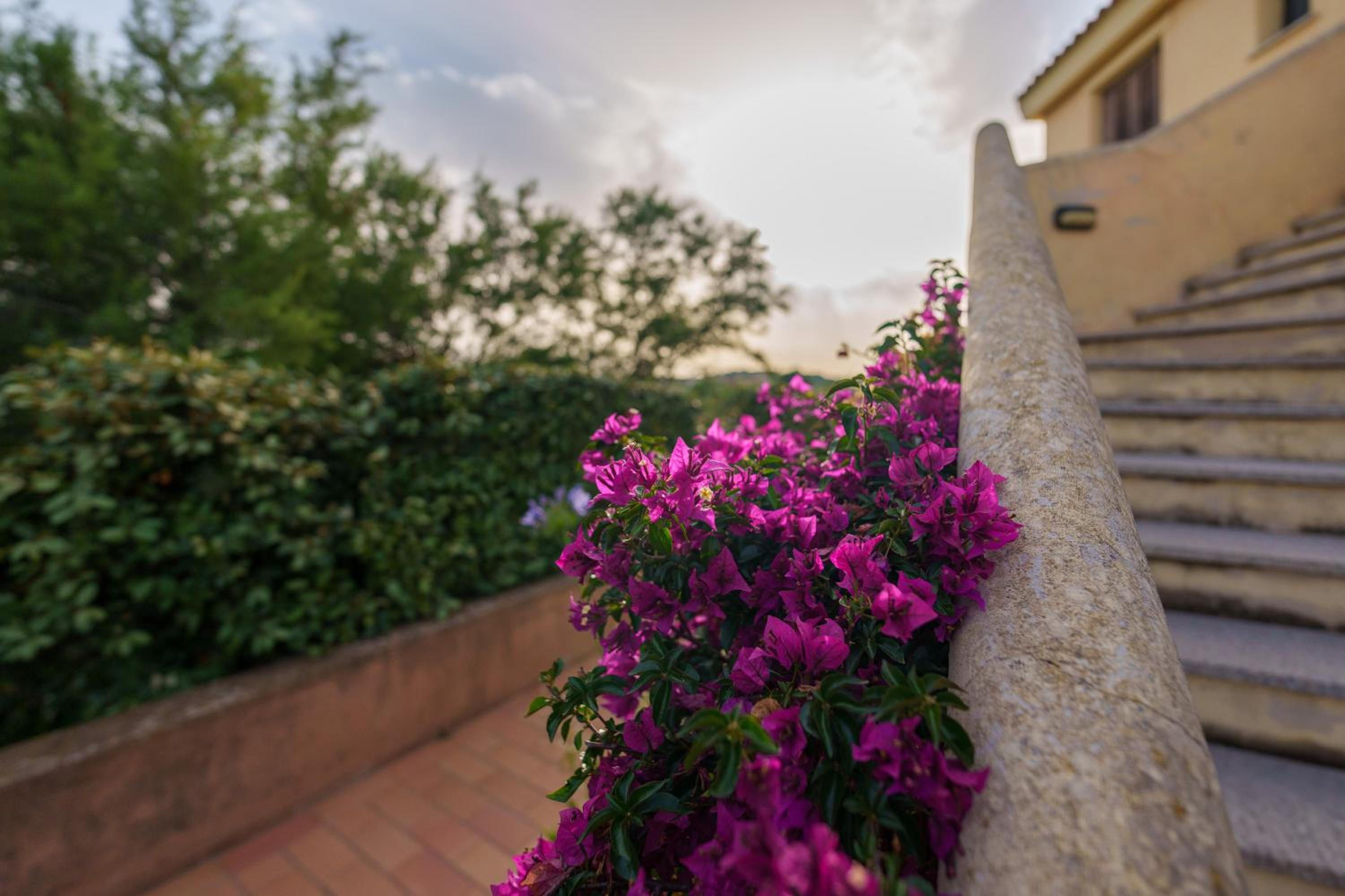 Casa Vacanze Amarena
