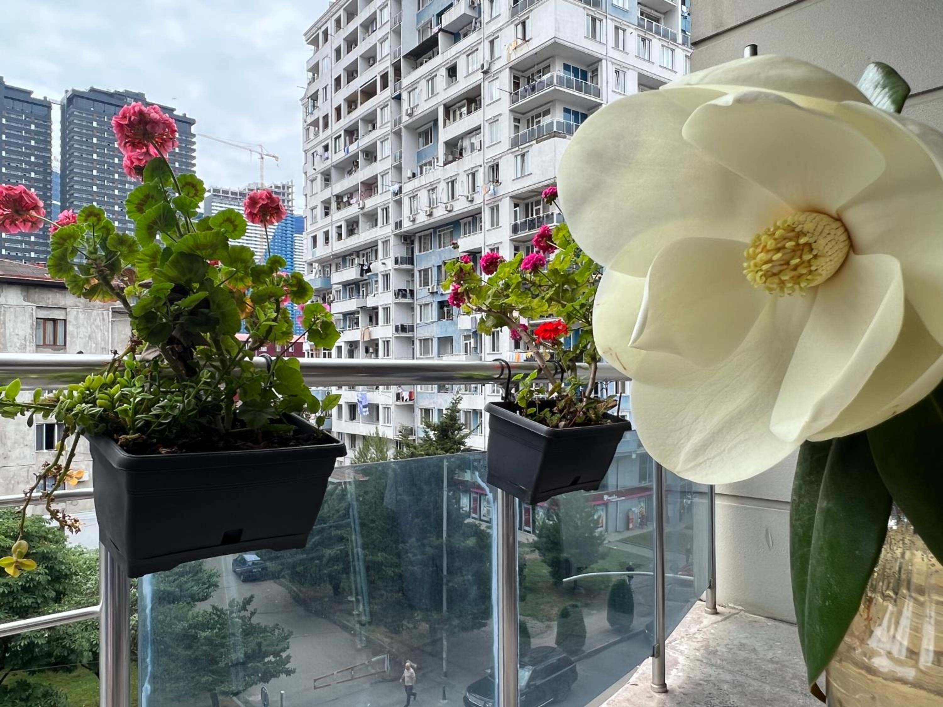 Tamo&Beso Apartment