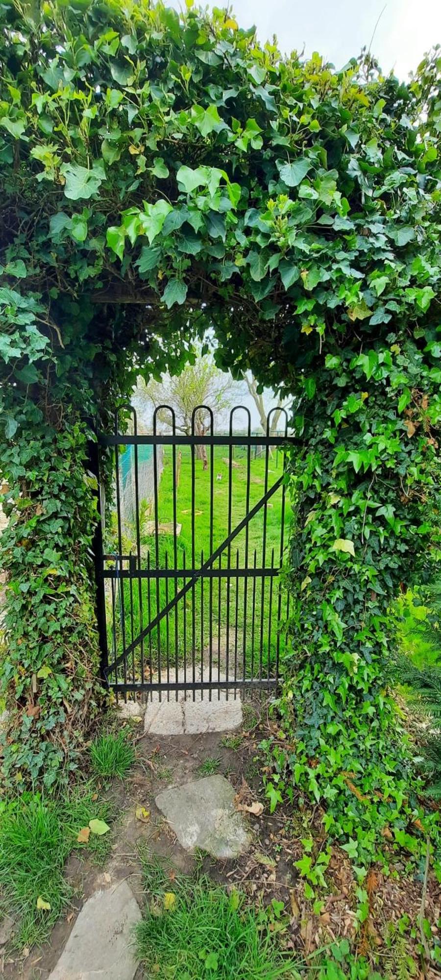 B&B L’Orangerie