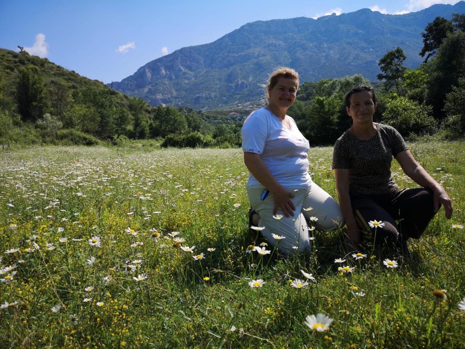 Meti Guest House