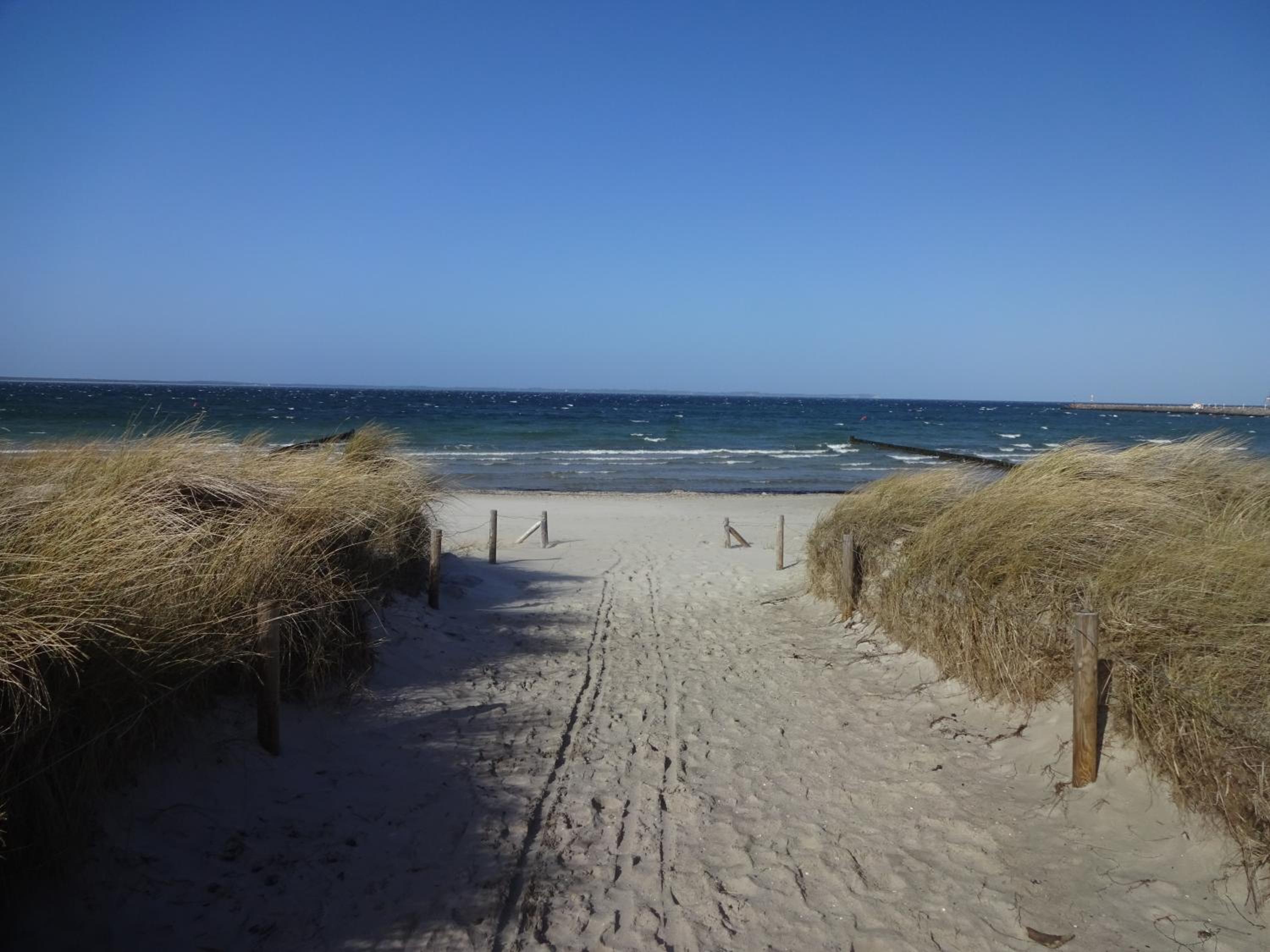 Strandtraum