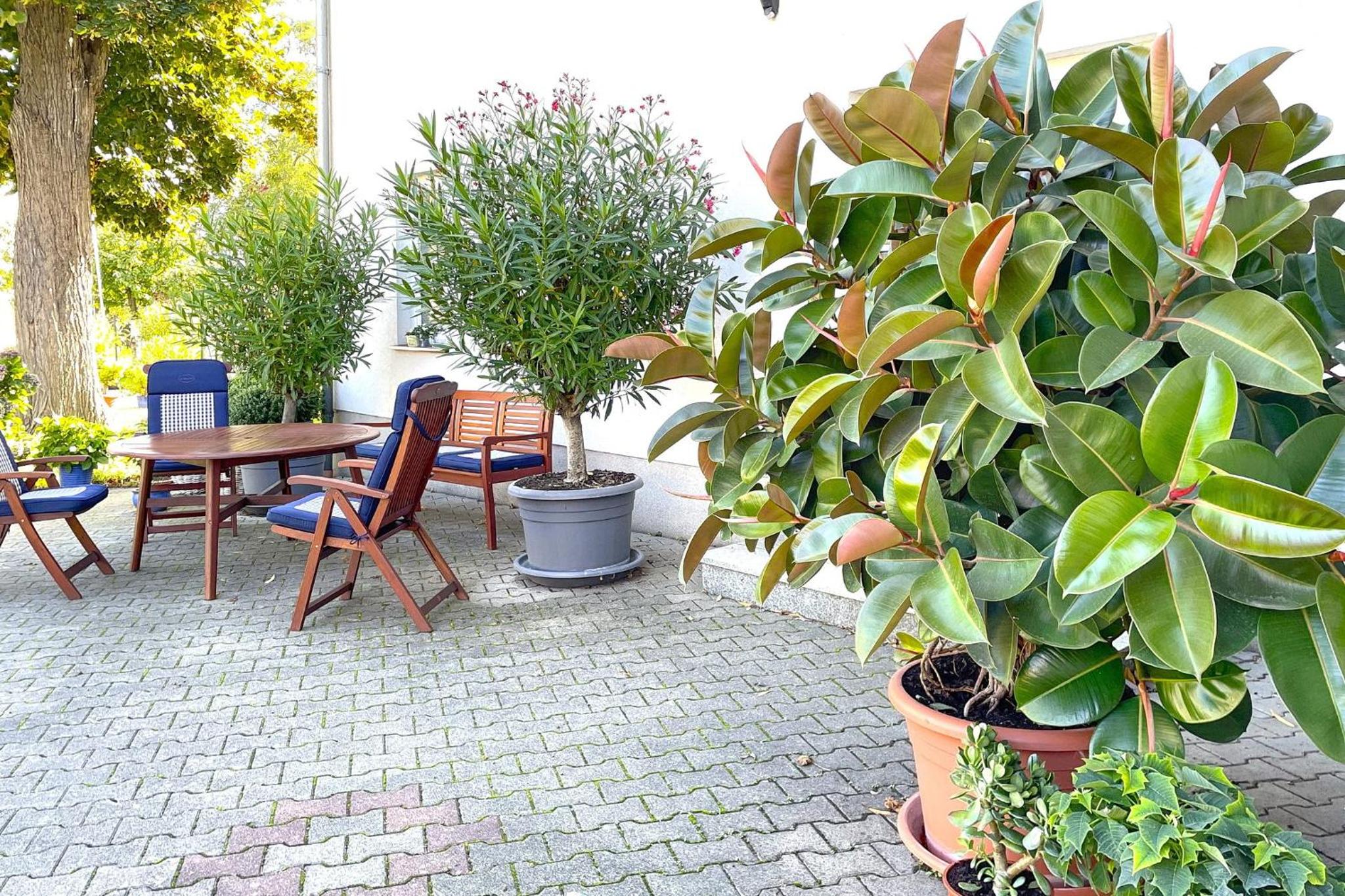 Orchidee en Lübbenau