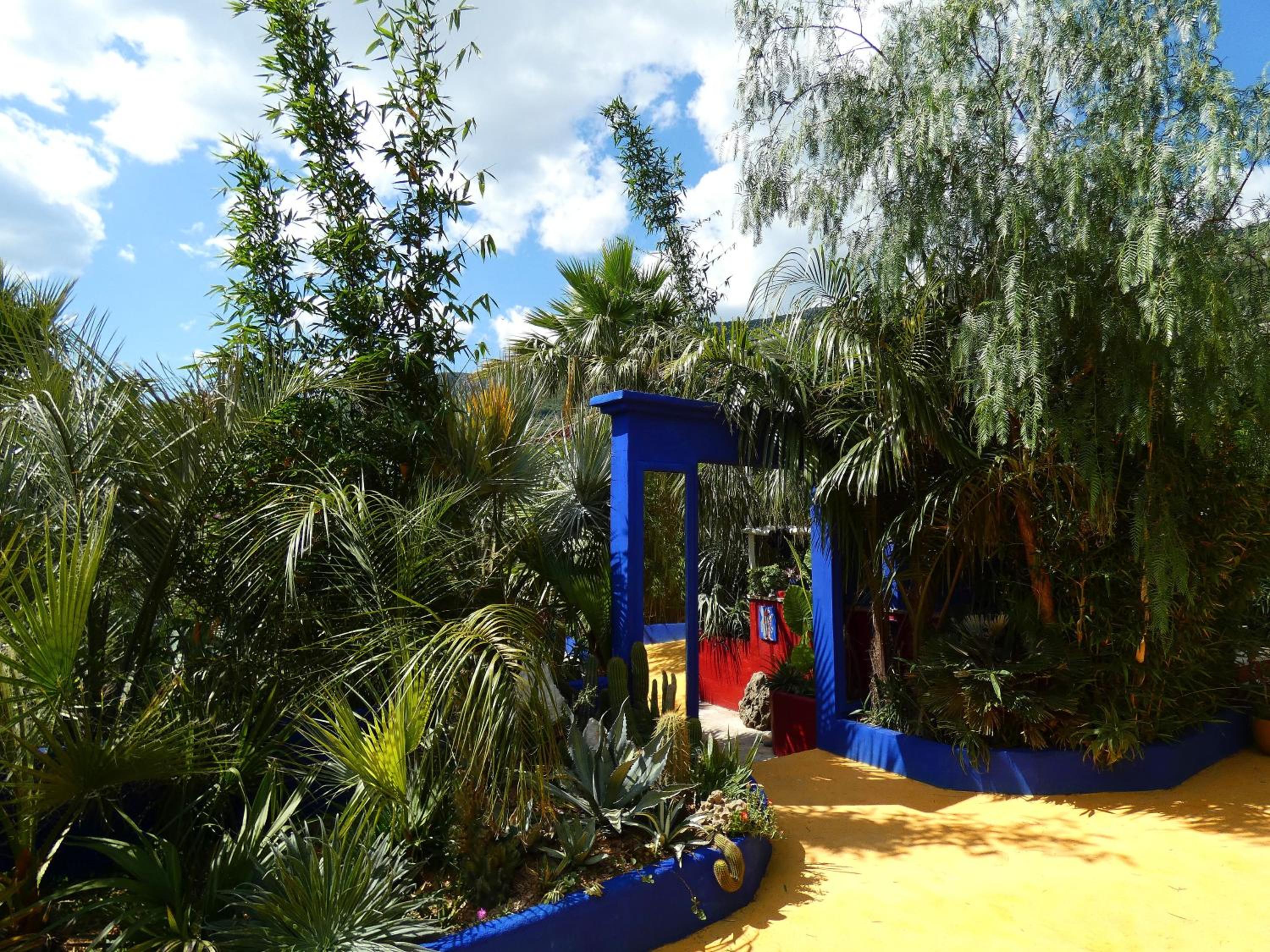 Photo 10