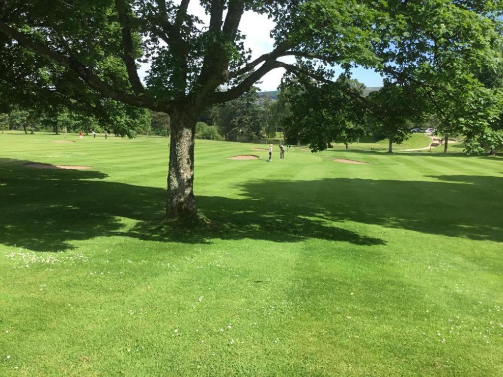 Gleneagles Lettings