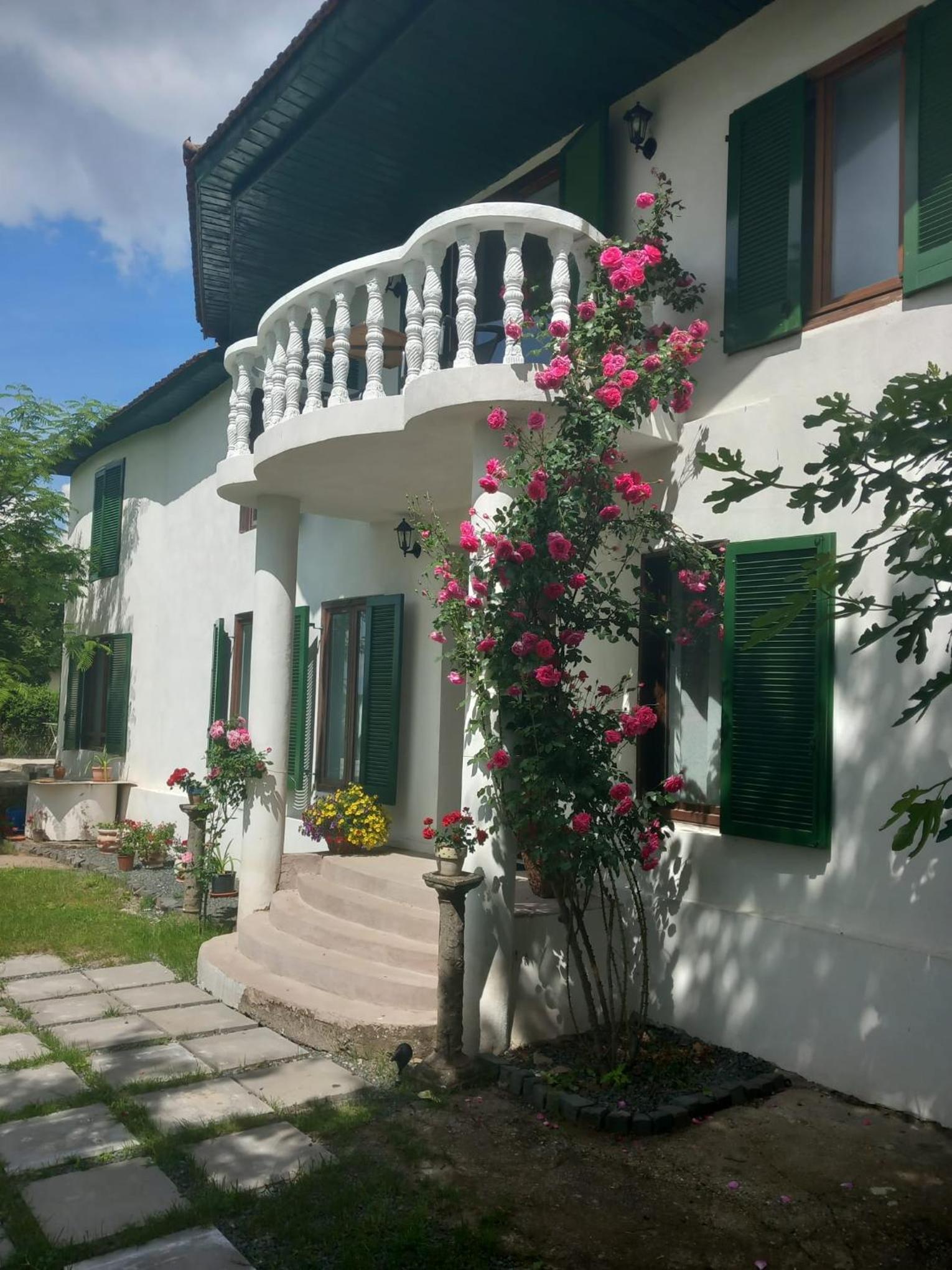 Casa Marza