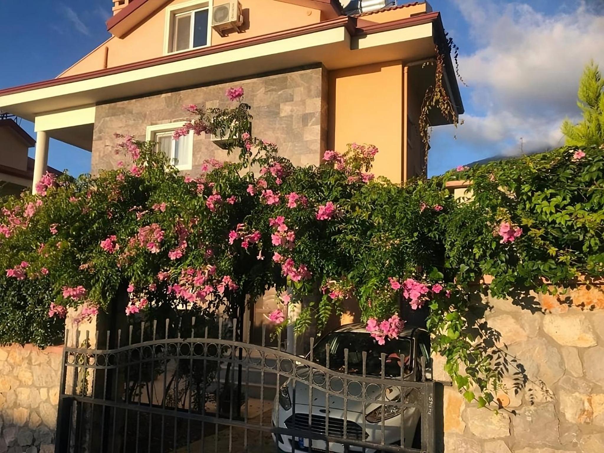 Eco Villa Oleg view 3