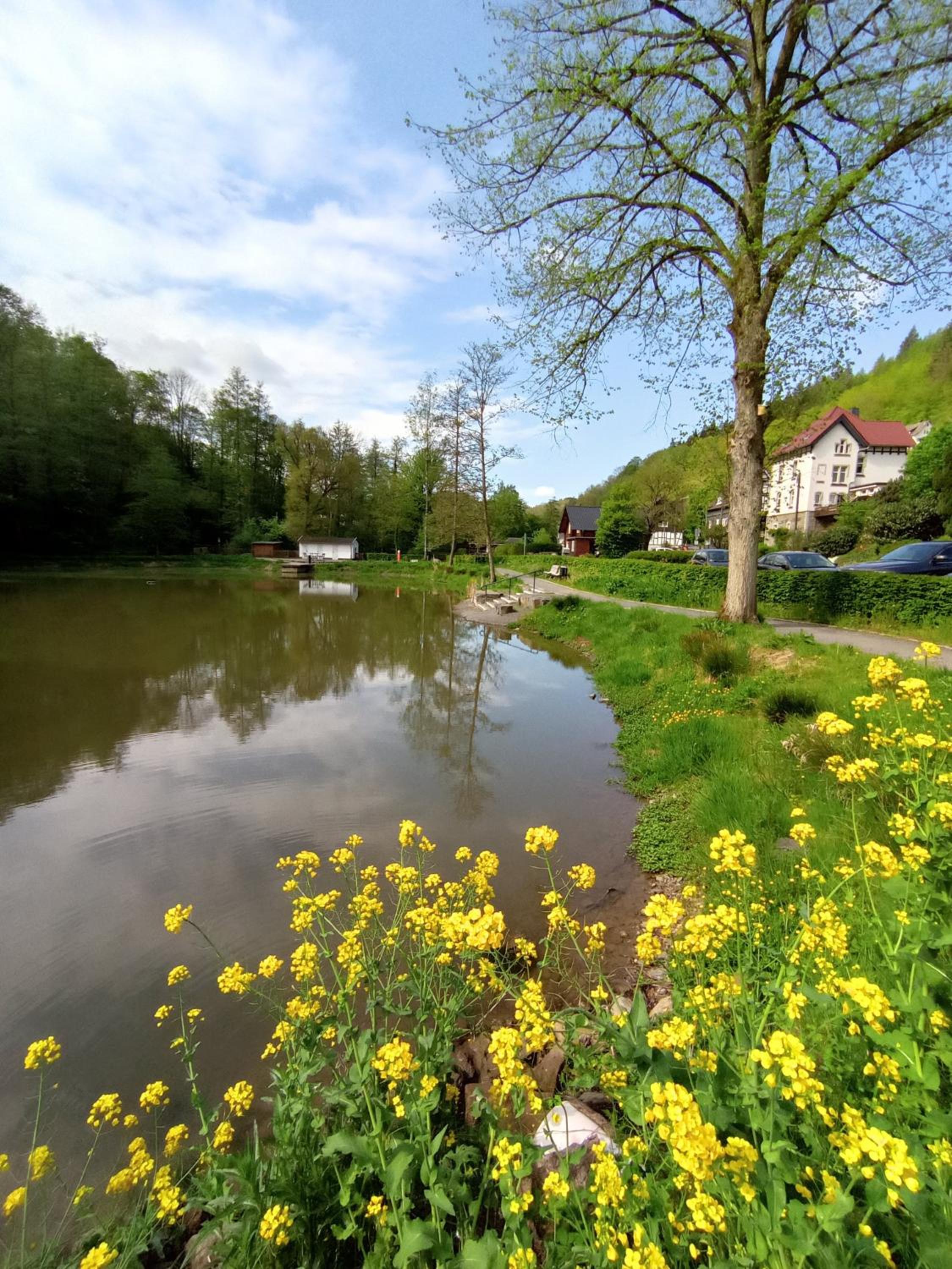 Ferienwohnung Sauerland Burgfenster