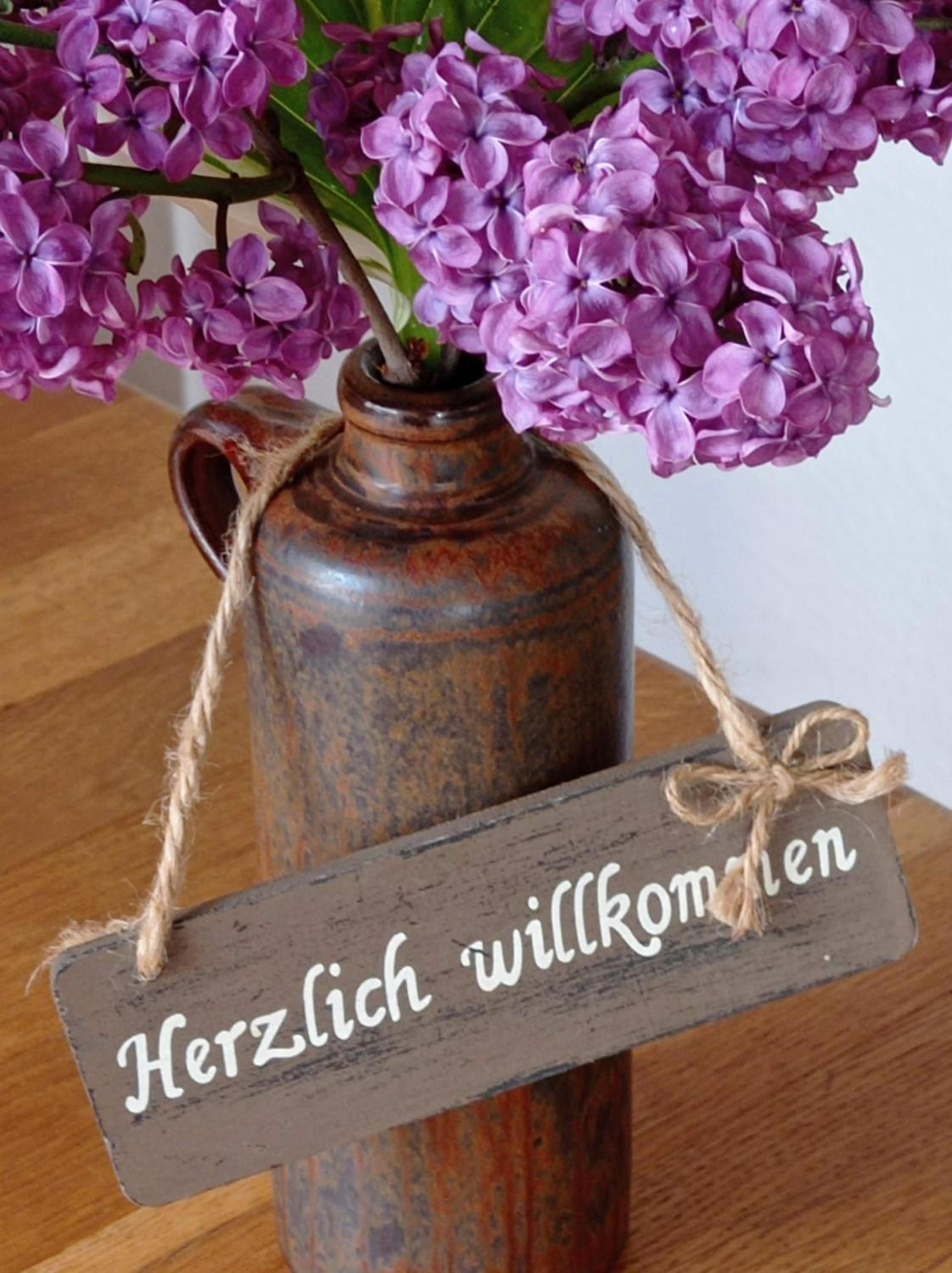 Ferienwohnung Sauerland Burgfenster