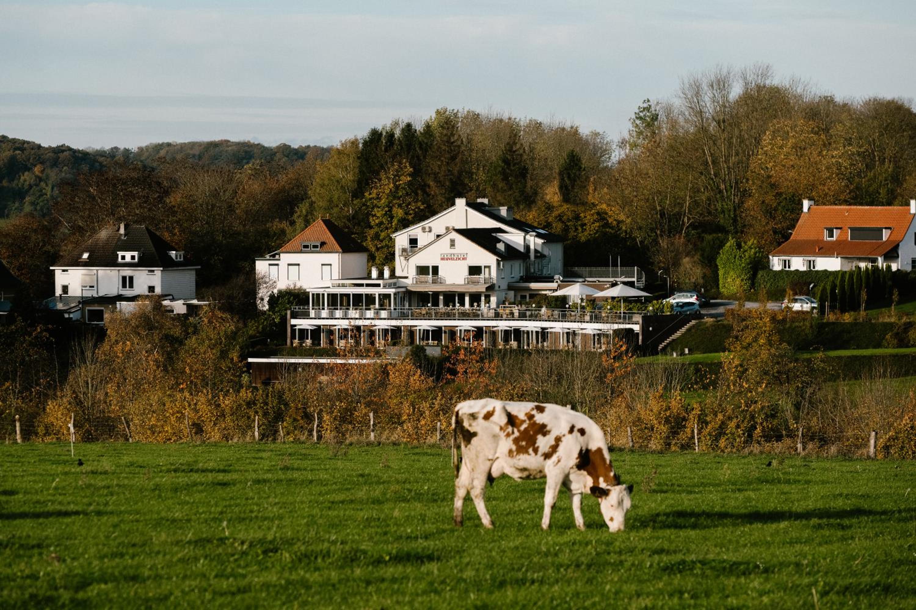 Hotel Landhotel Heuvelzicht - Image 1
