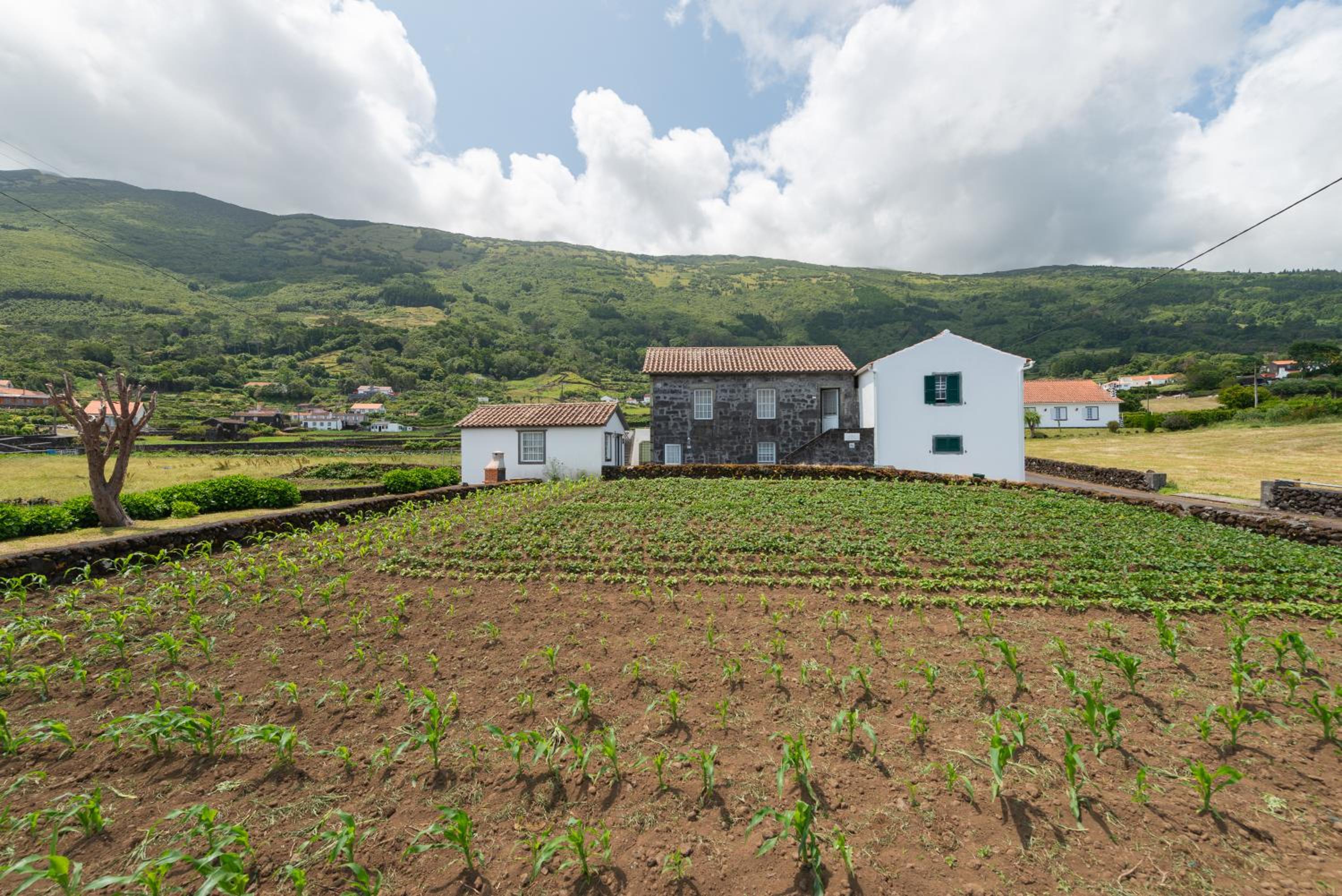 Prainha Apartments view 3