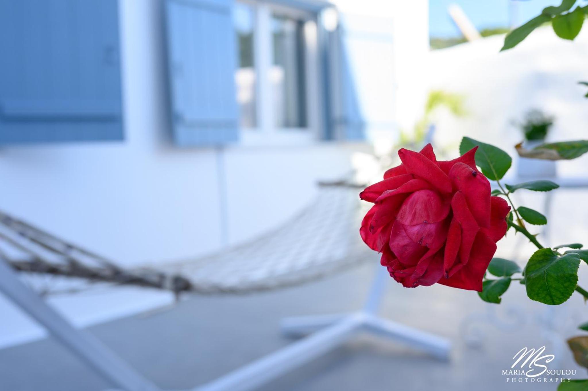 Siridaki Homes Leros