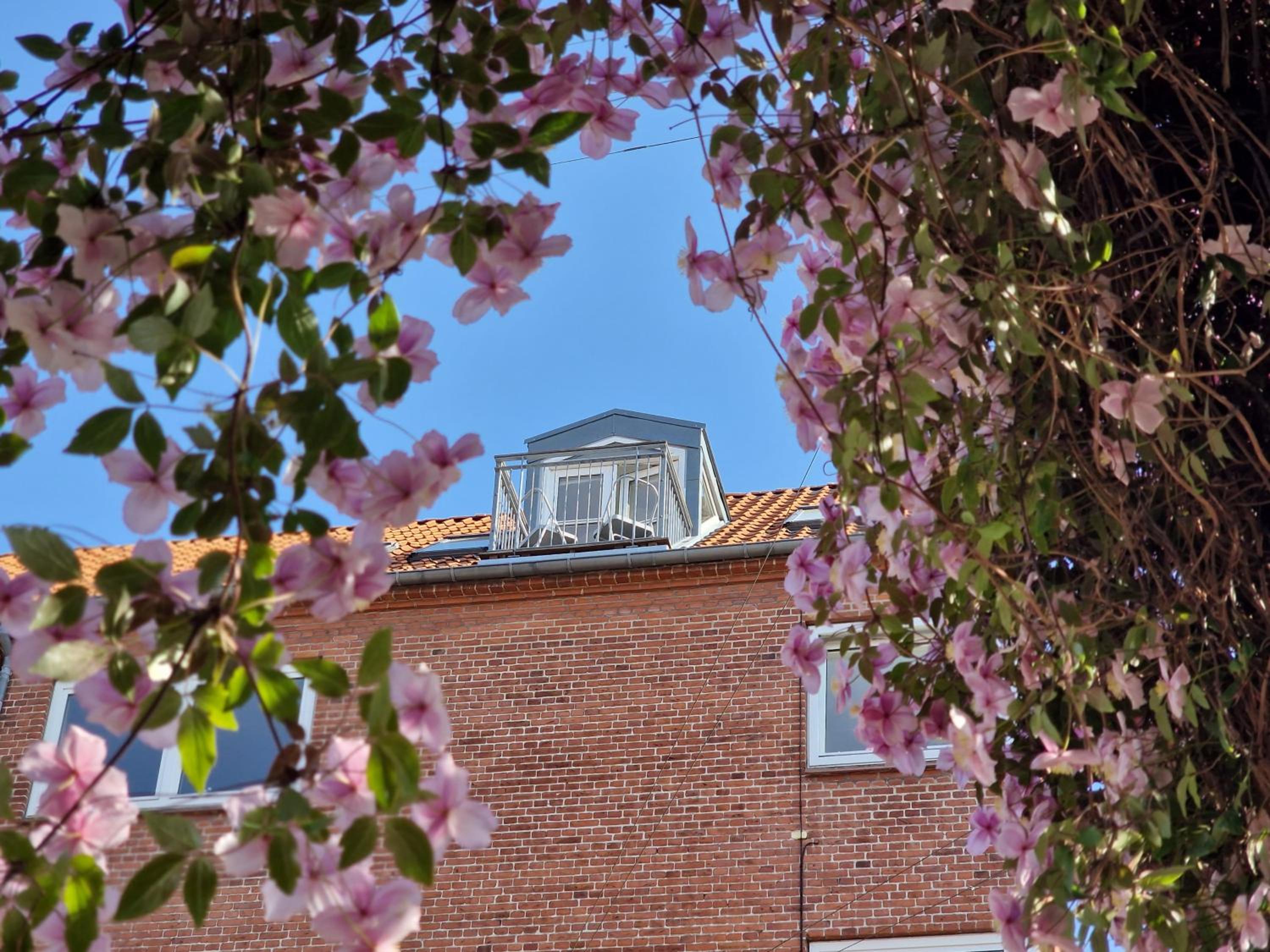 roof