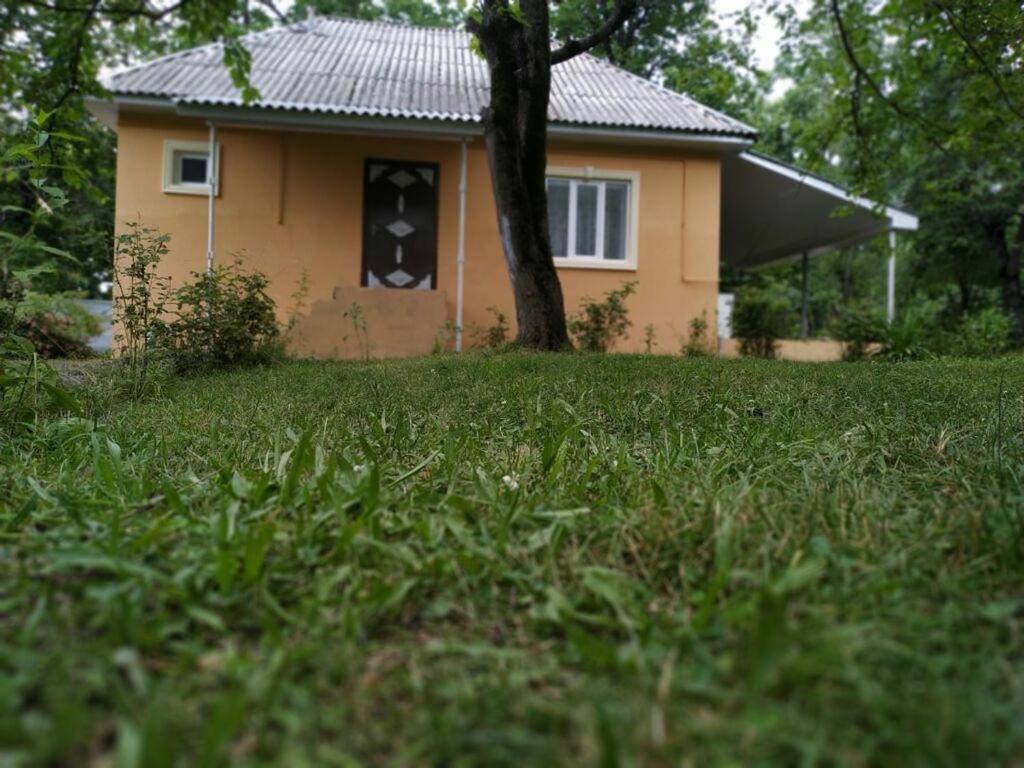 Gabala ev