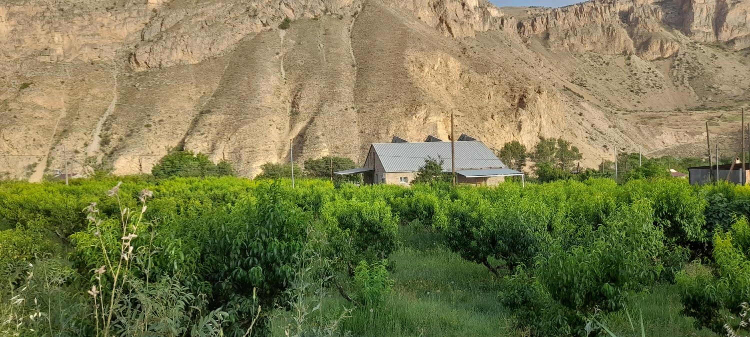 Areni Tavern-B&B