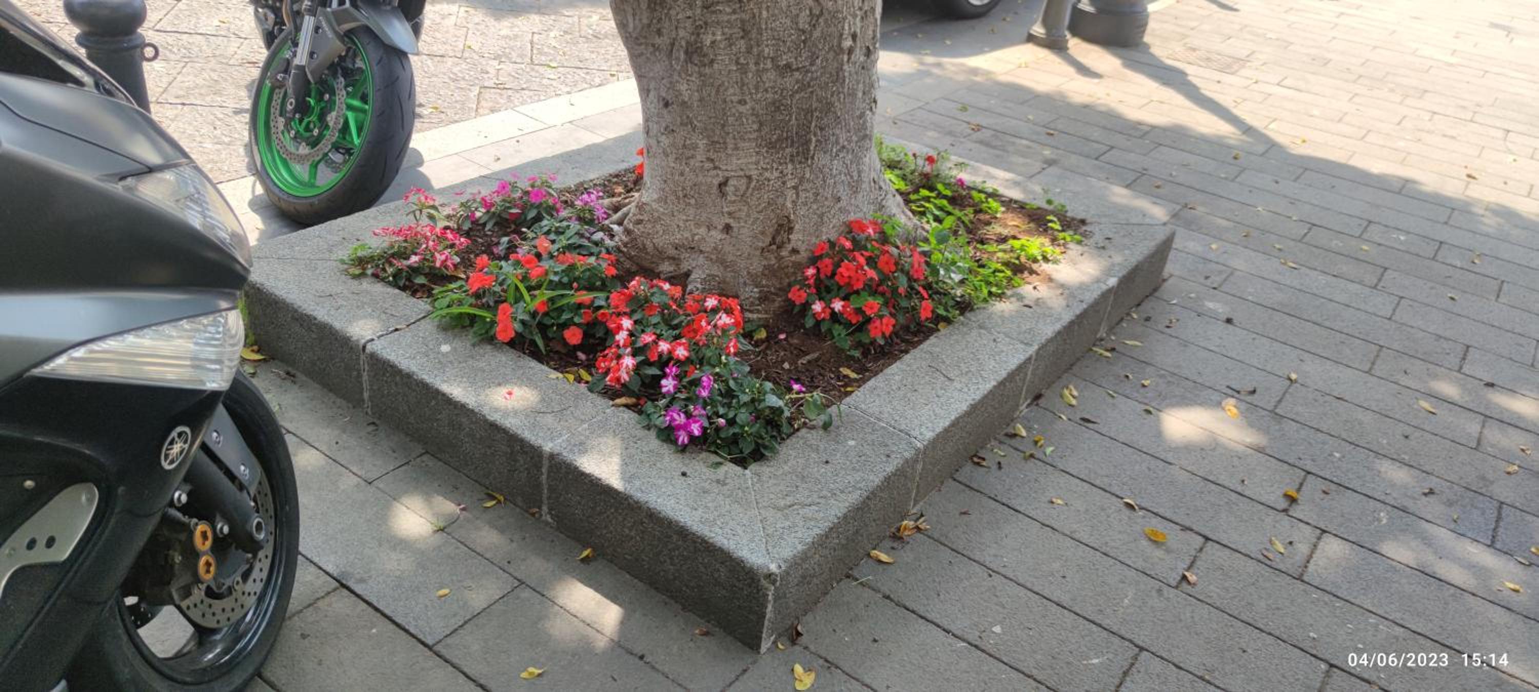 Photo 18