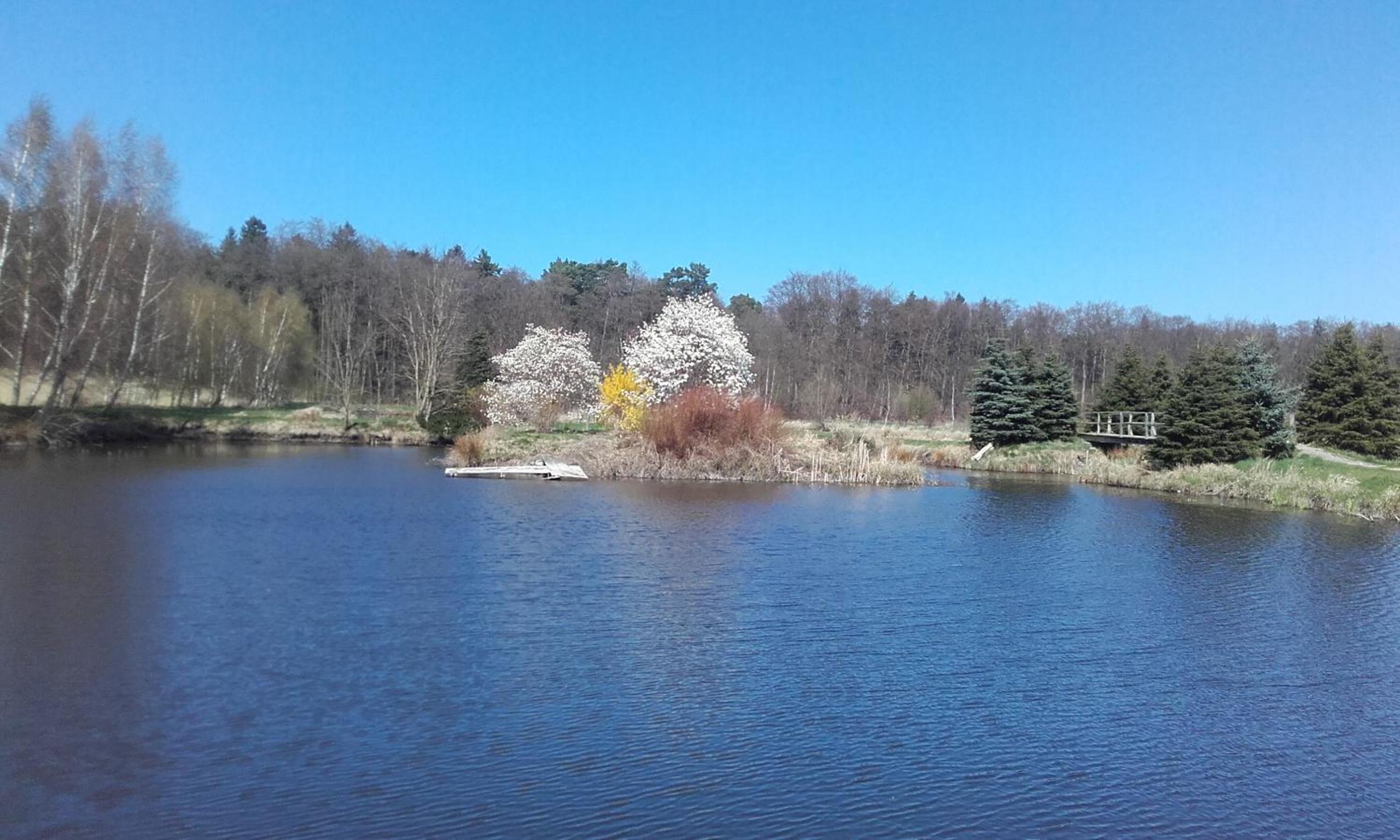 Marka Pokoje Gościnne