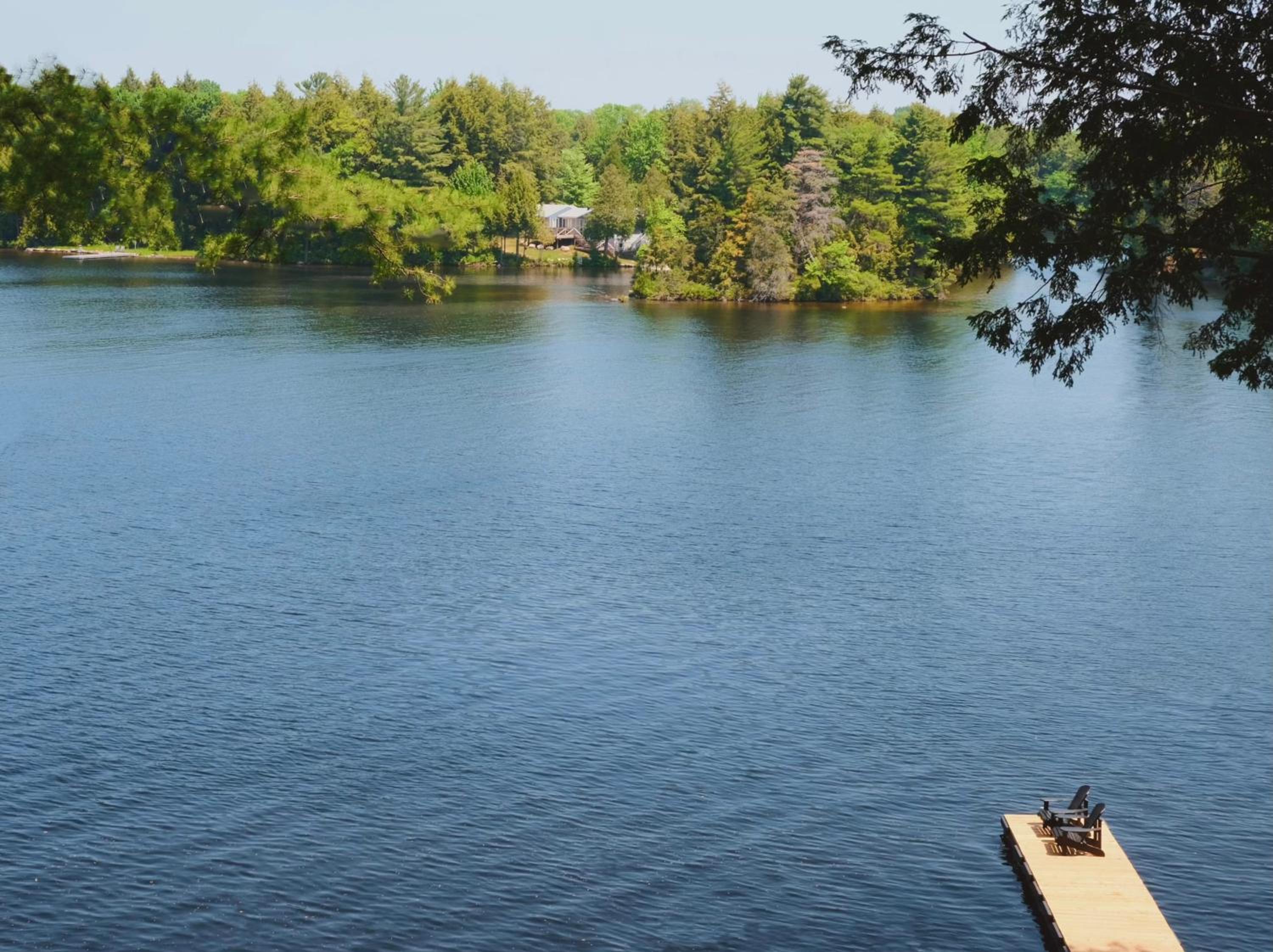 Black Bear Lake Muskoka