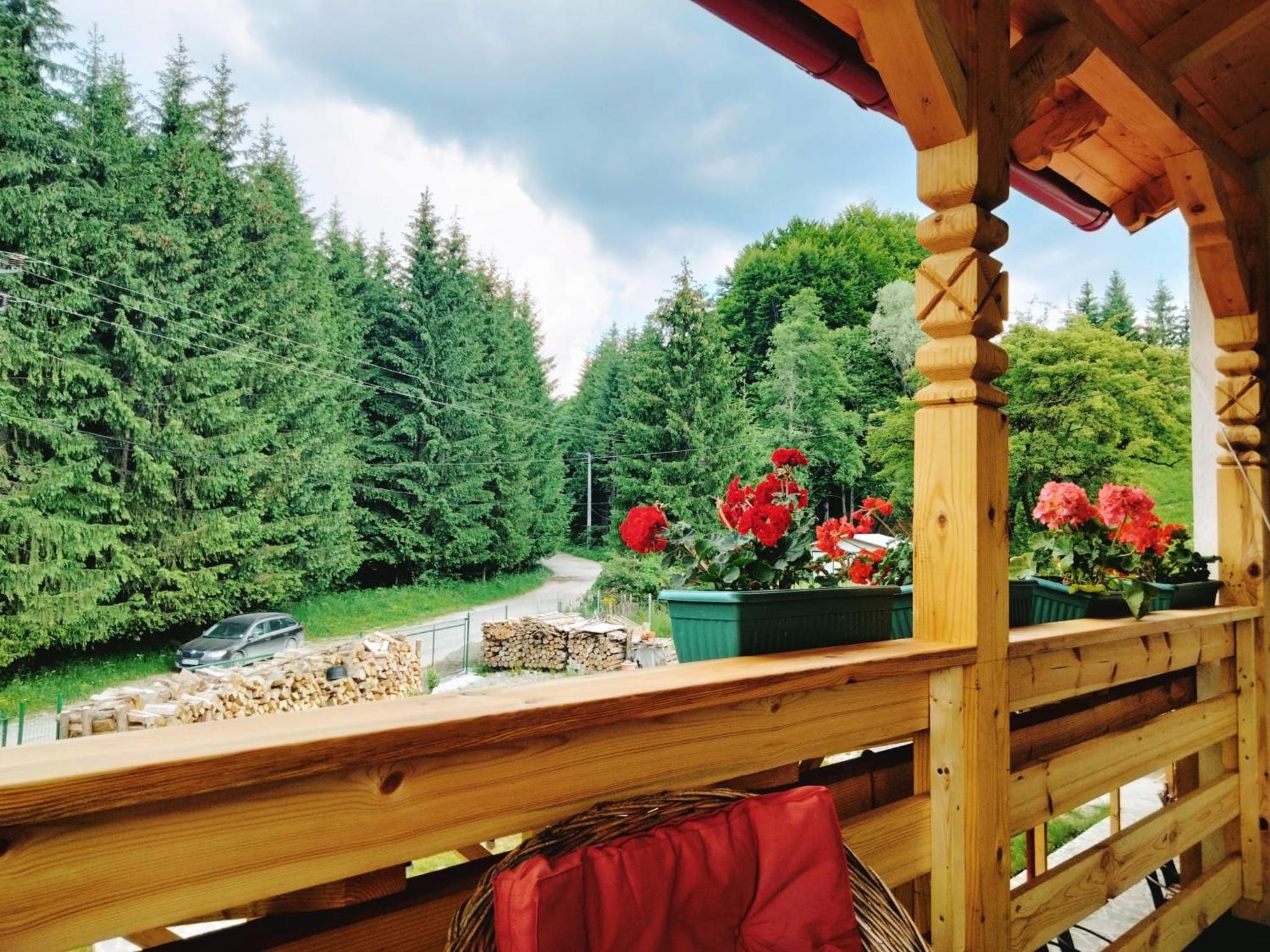 Poiana Sașilor - Valea Doftanei view 2