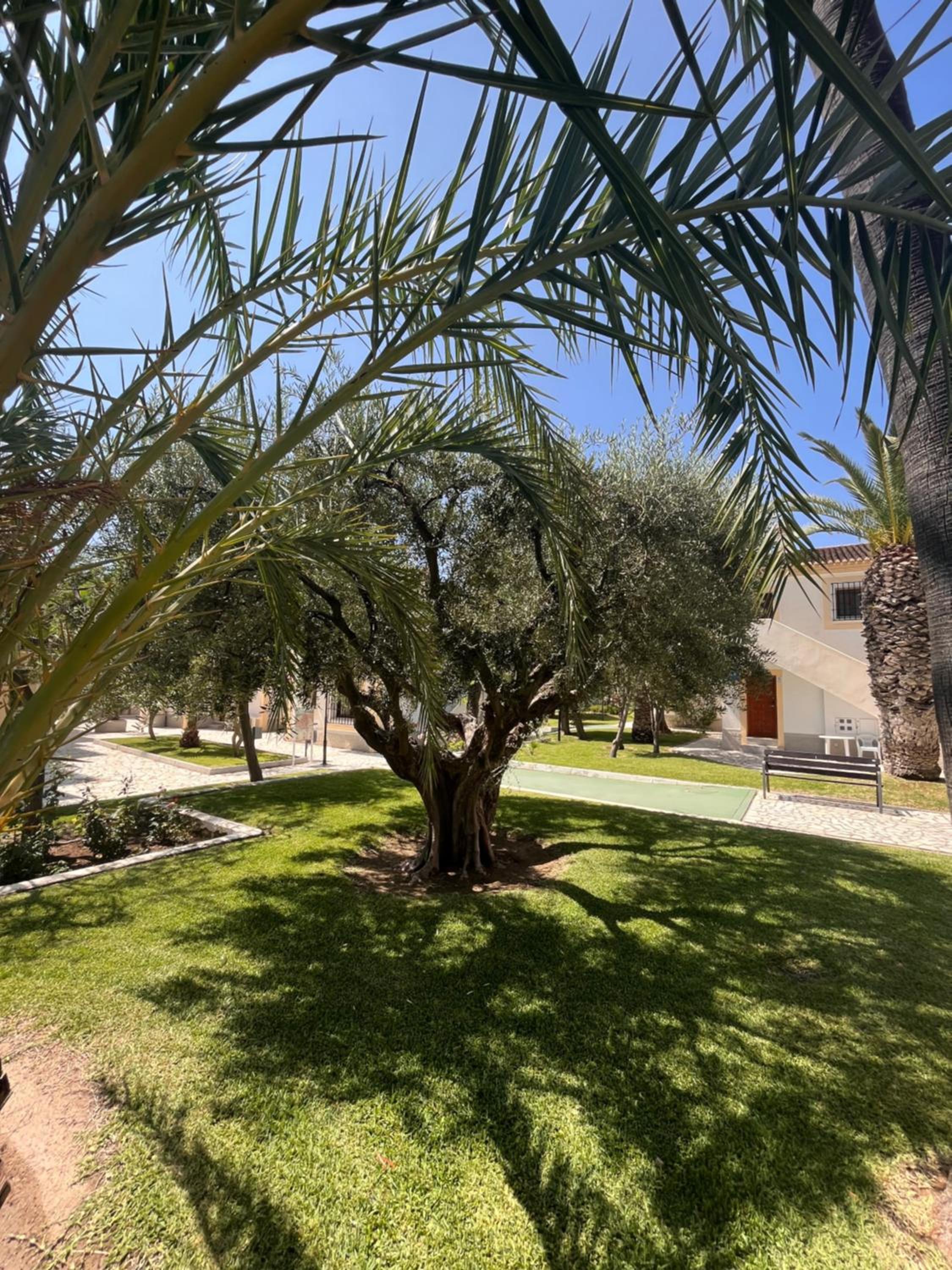 Casa de Beatriz Vera Costa bajo
