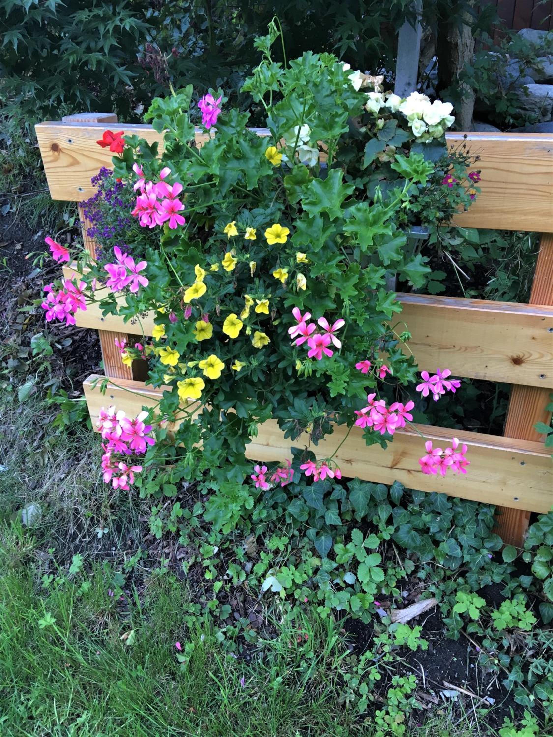 Photo 9