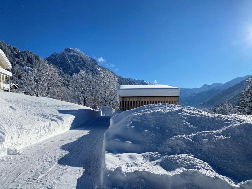Haus Albuin