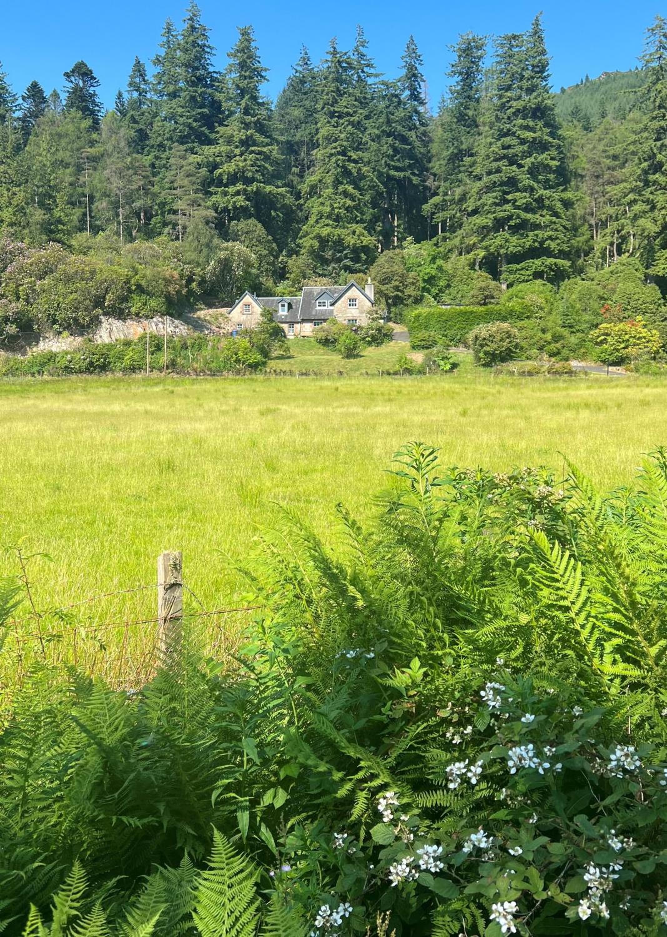 Eckford House