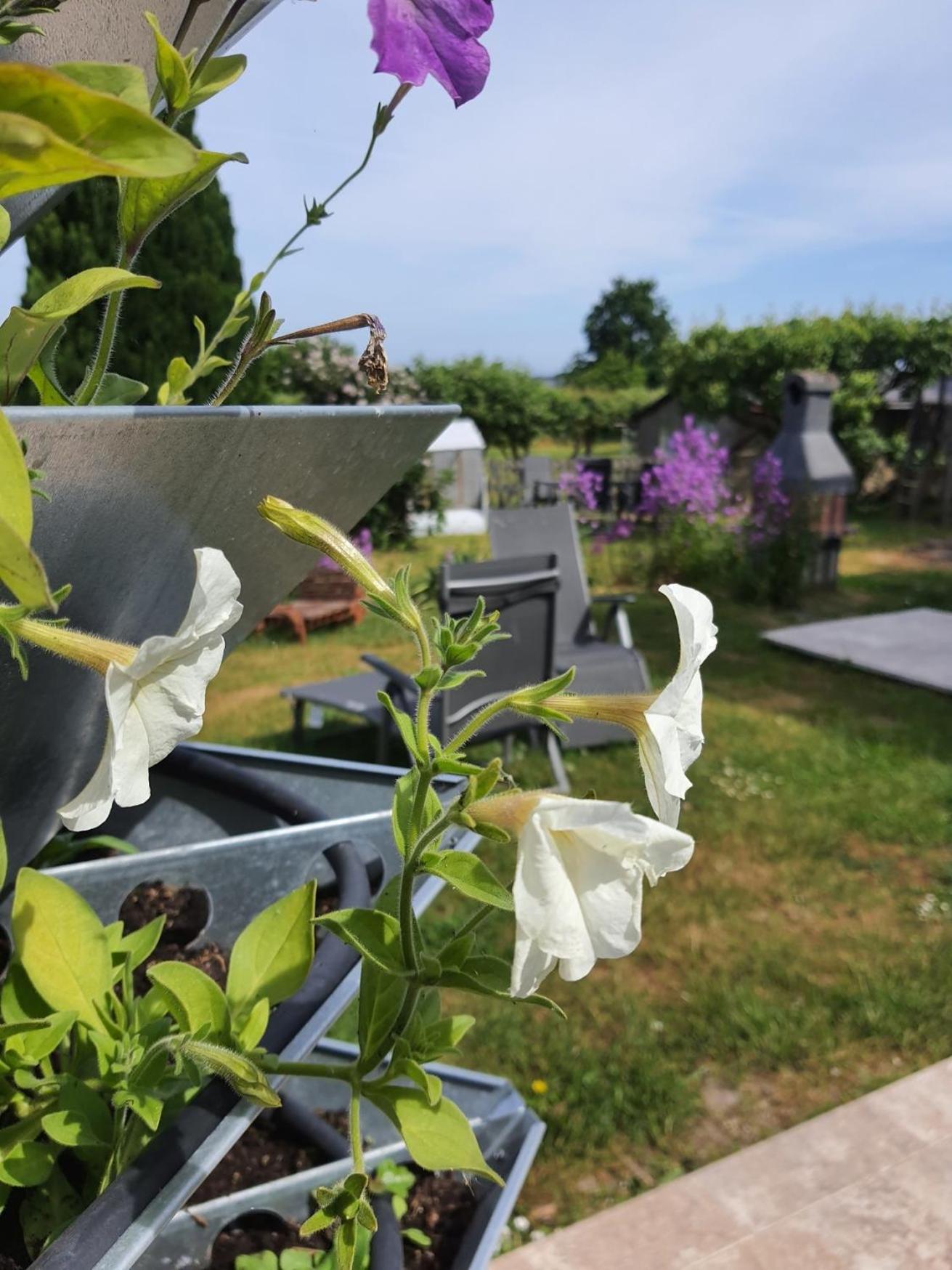 other