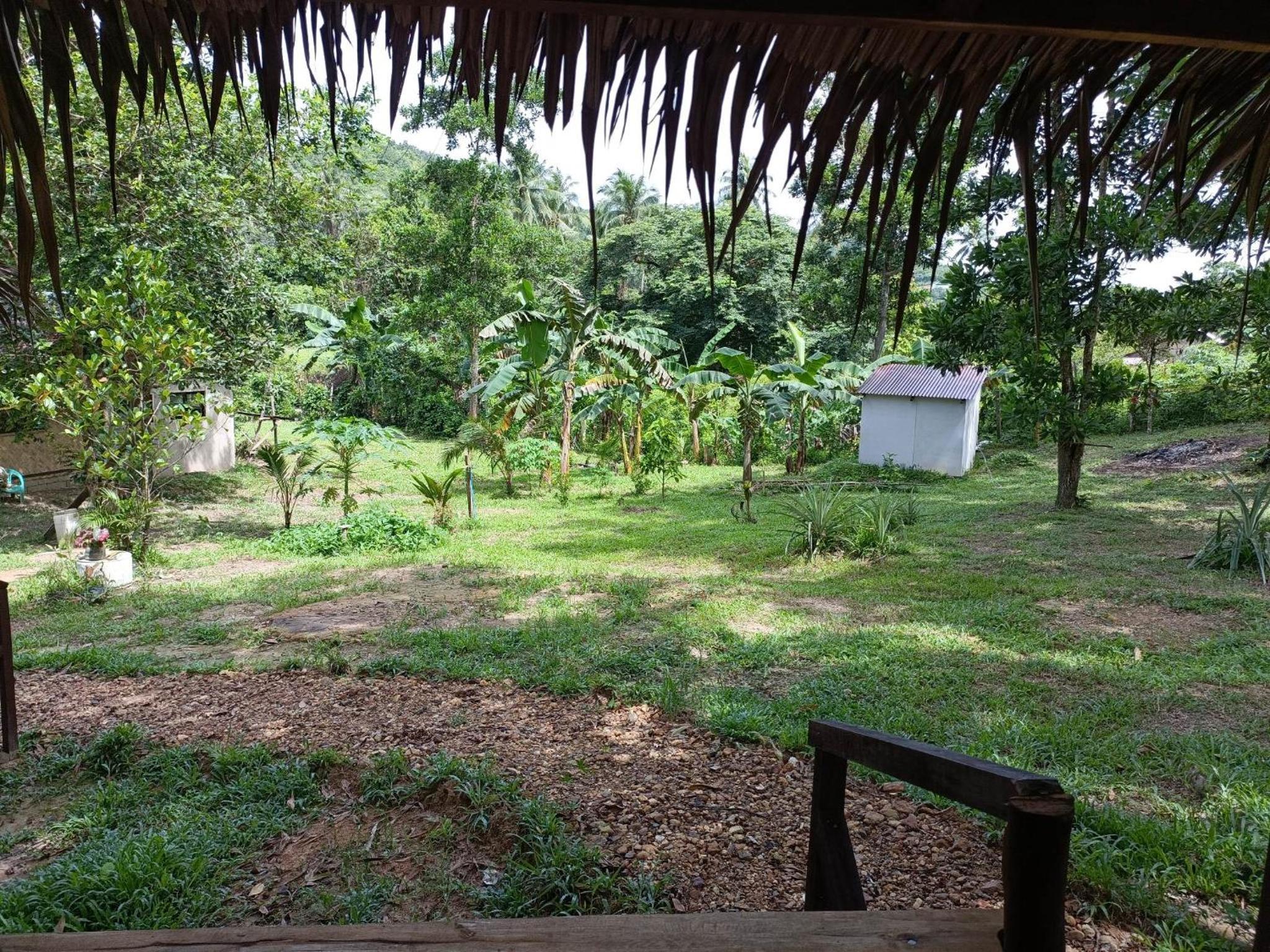 Photo 10