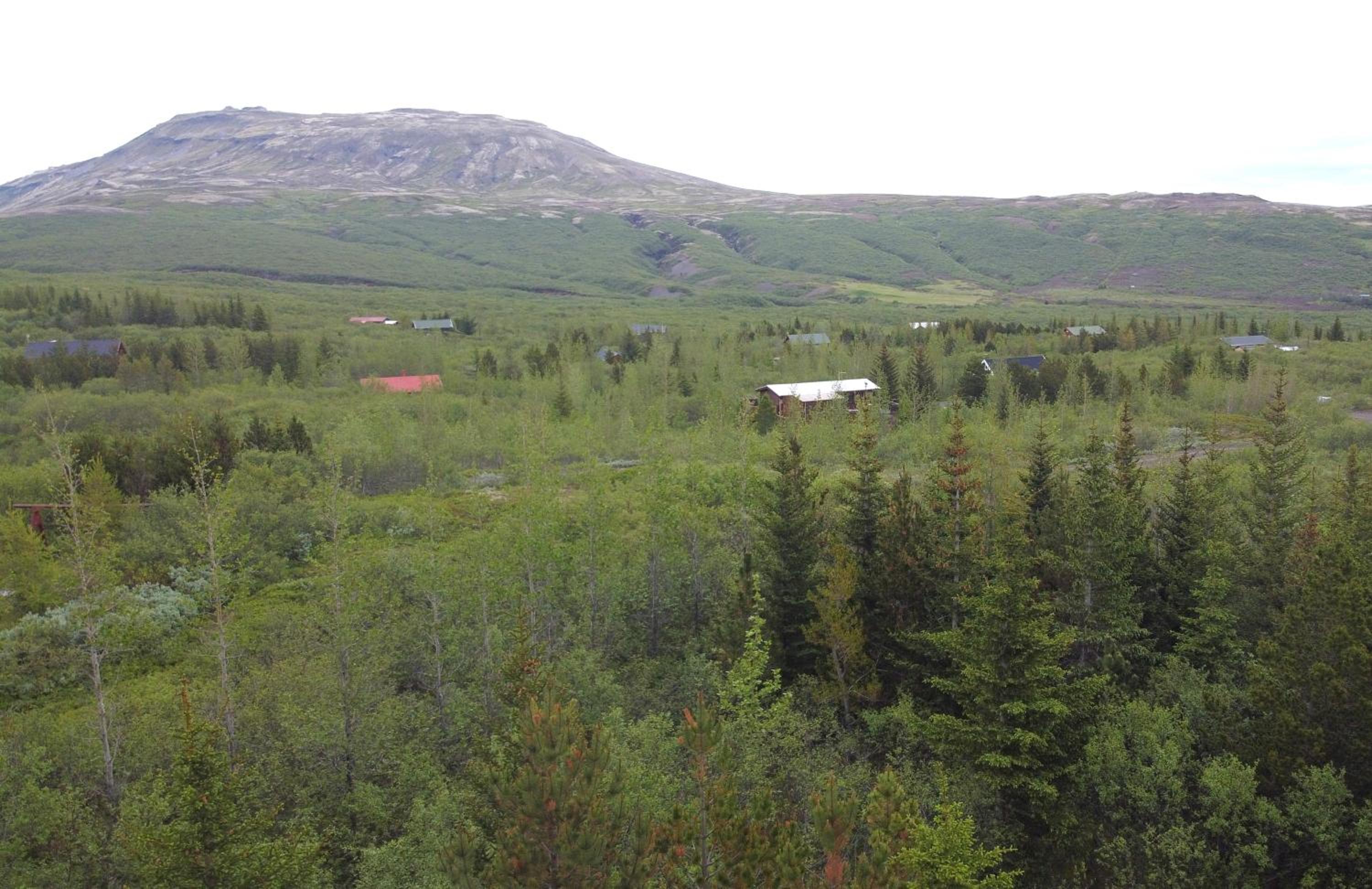 Photo 30
