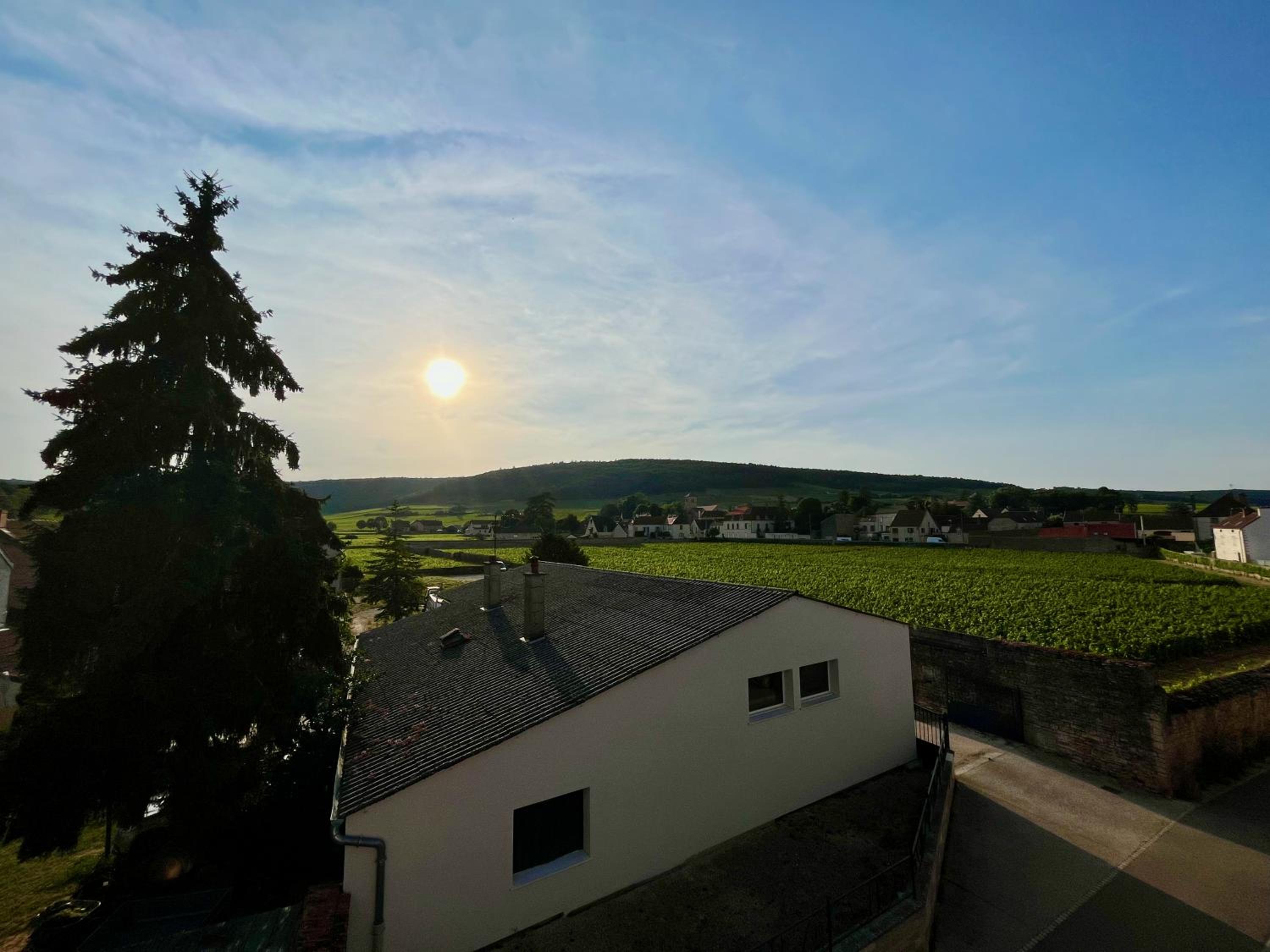 La Maison Pinot Noir view 5