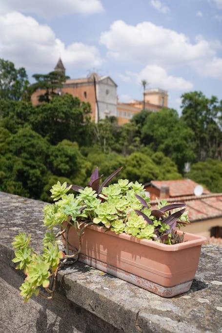 trasteverina chic house