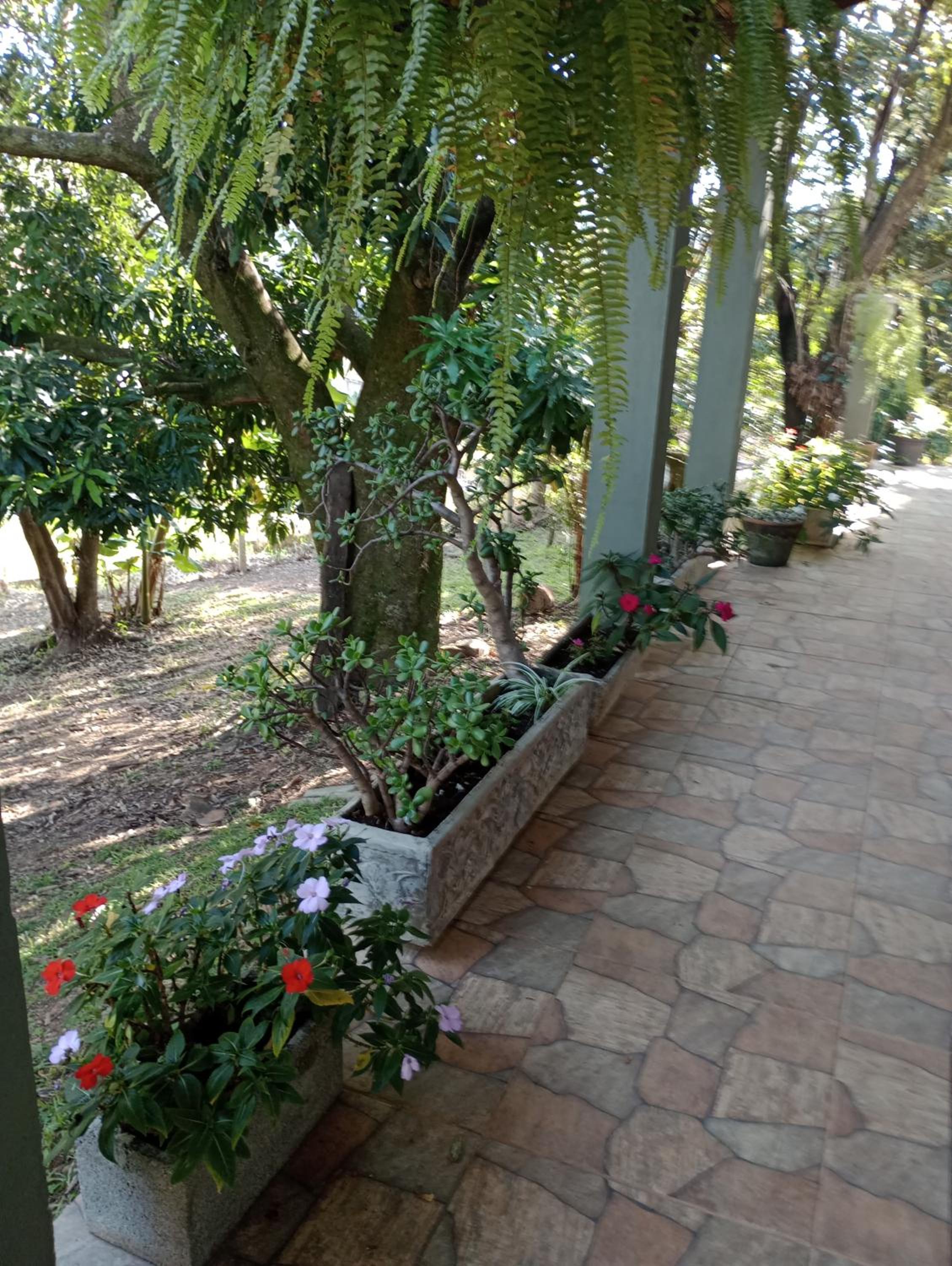 Nossa Casa Da Montanha