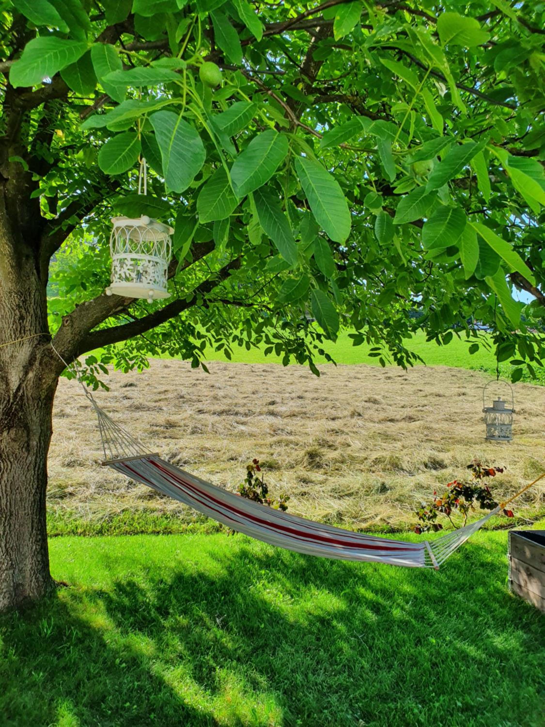 Green Oasis Anica view 4