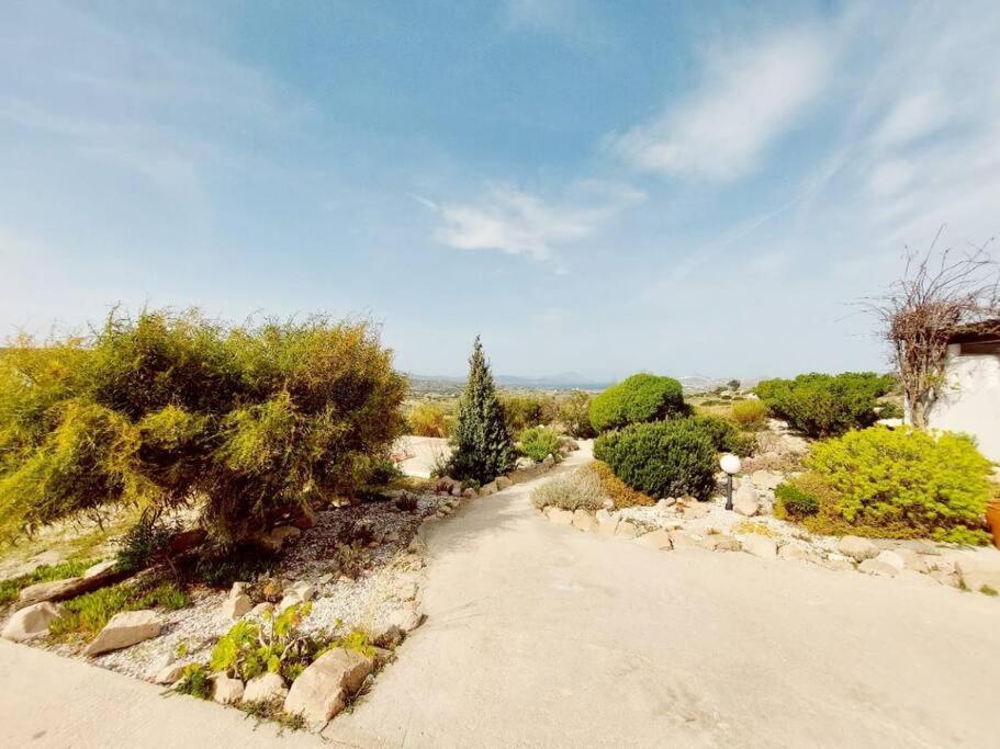 La nebulosa house1 view 2