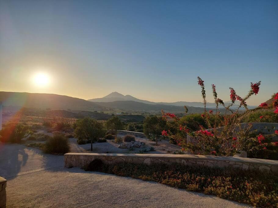 La nebulosa house1 view 4