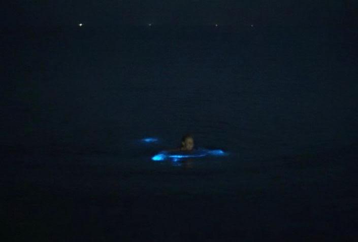 Photo 42