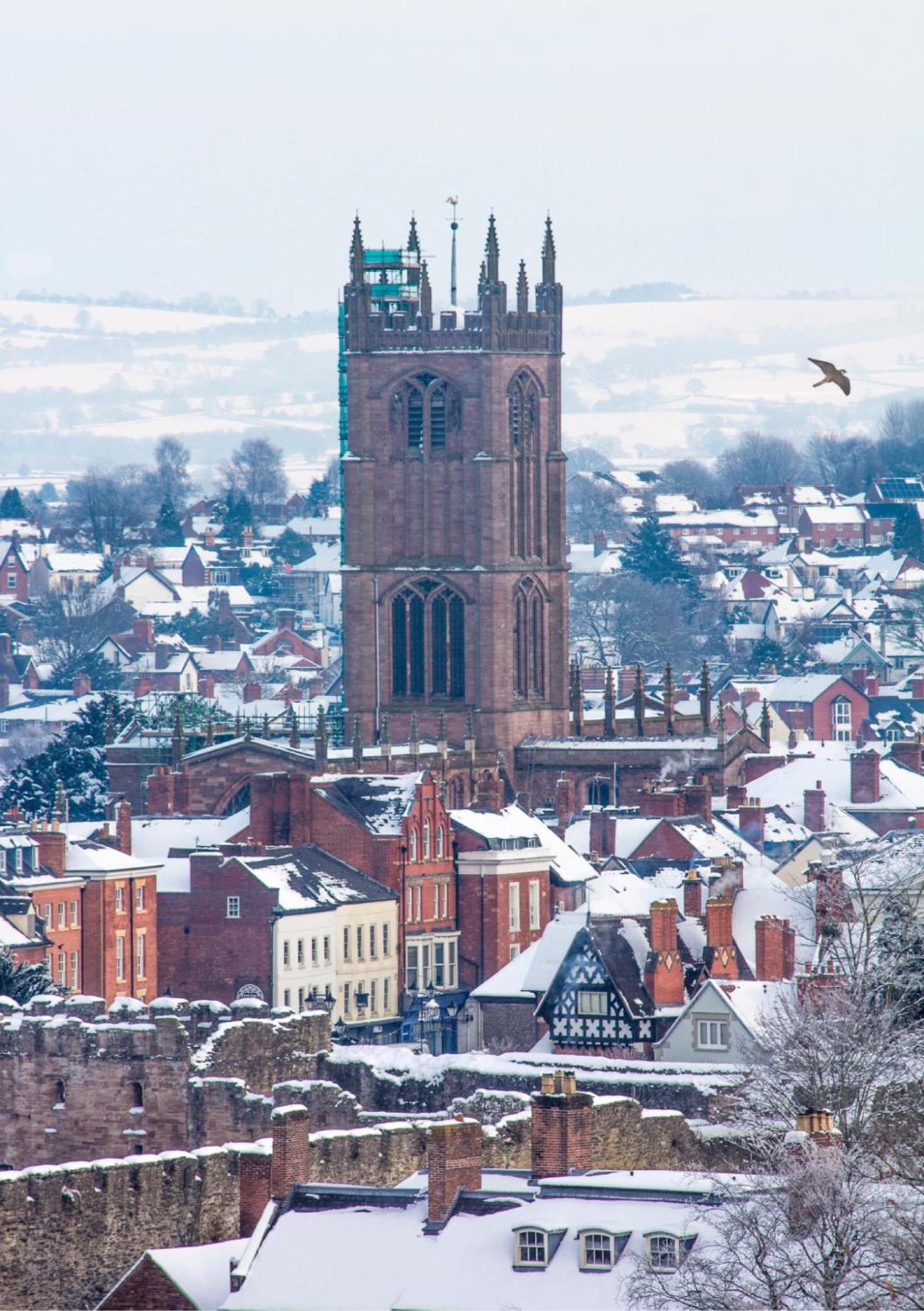 Ludlow Mascall Centre